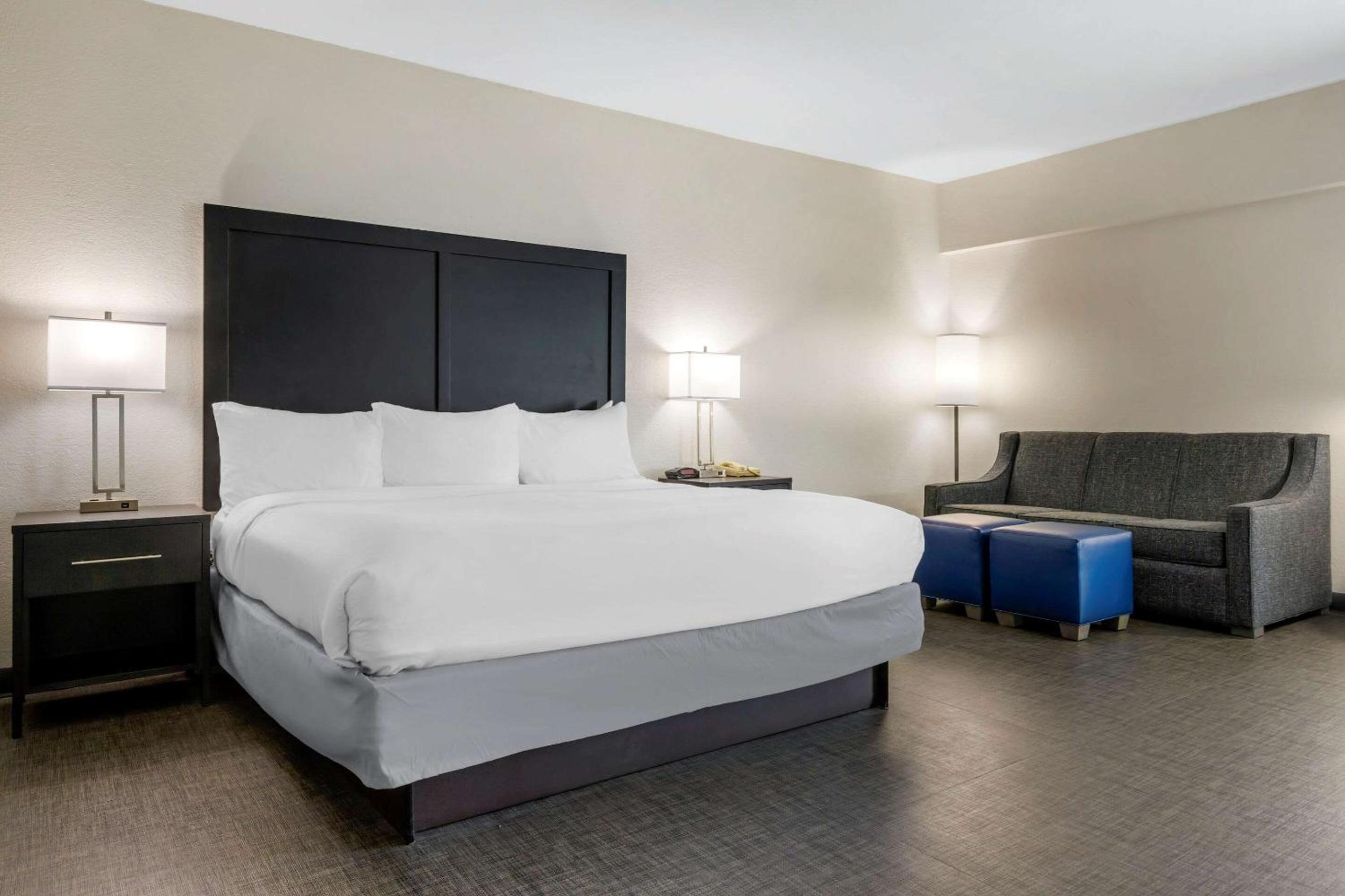 King Suite with Sofa Bed - Non-Smoking - Photo 1