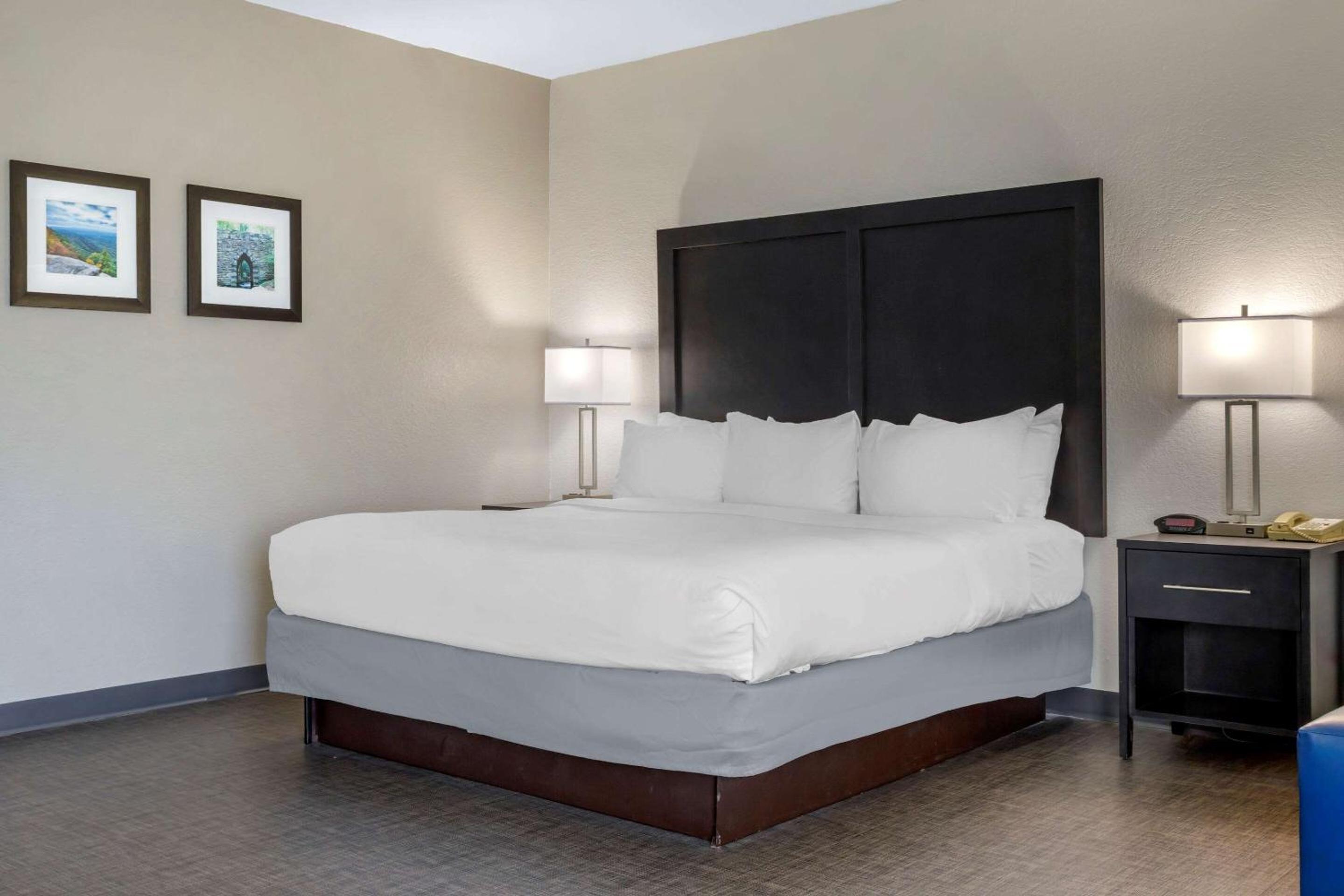 King Suite with Sofa Bed - Non-Smoking - Photo 2