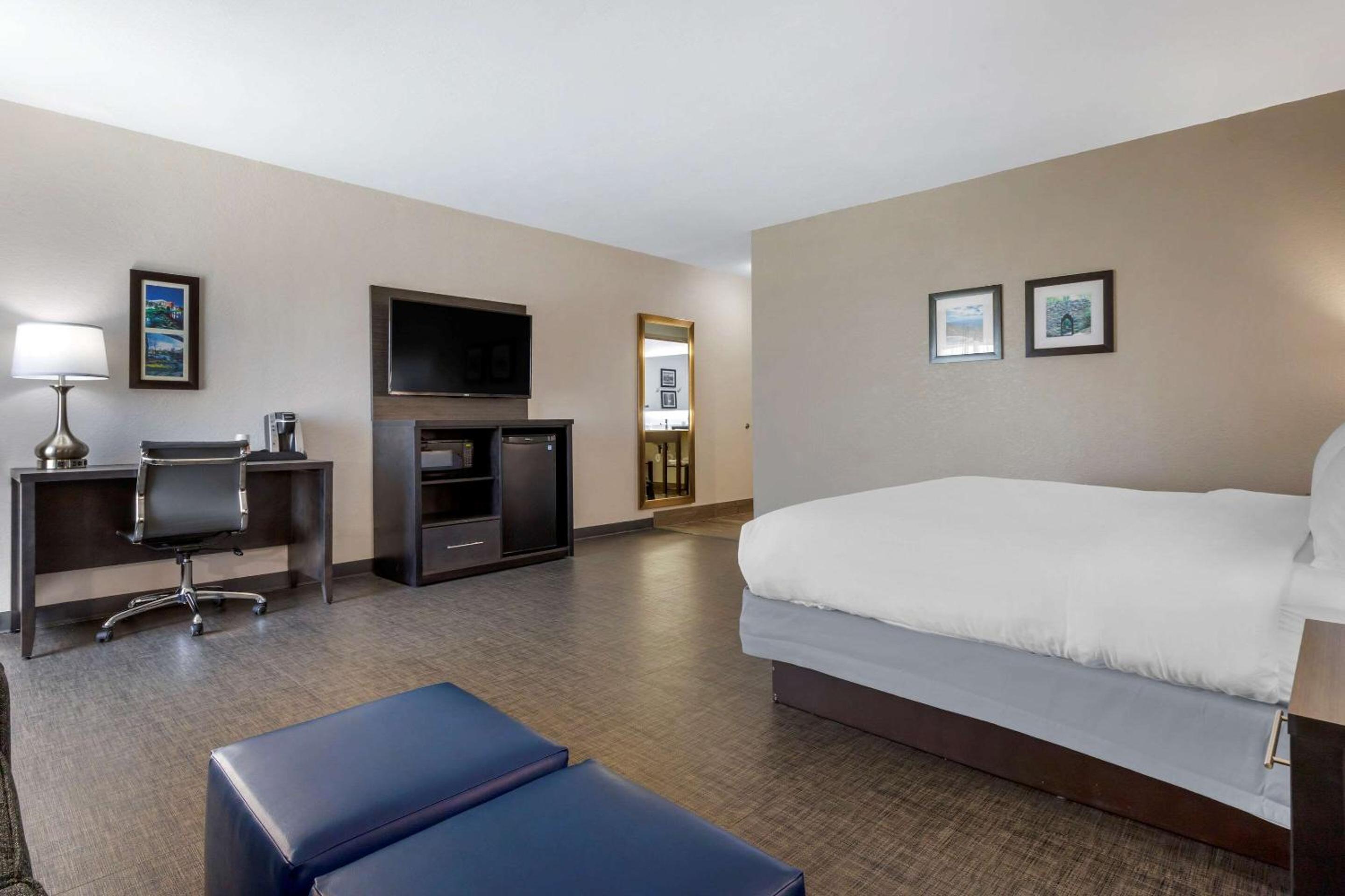 King Suite with Sofa Bed - Non-Smoking - Photo 5