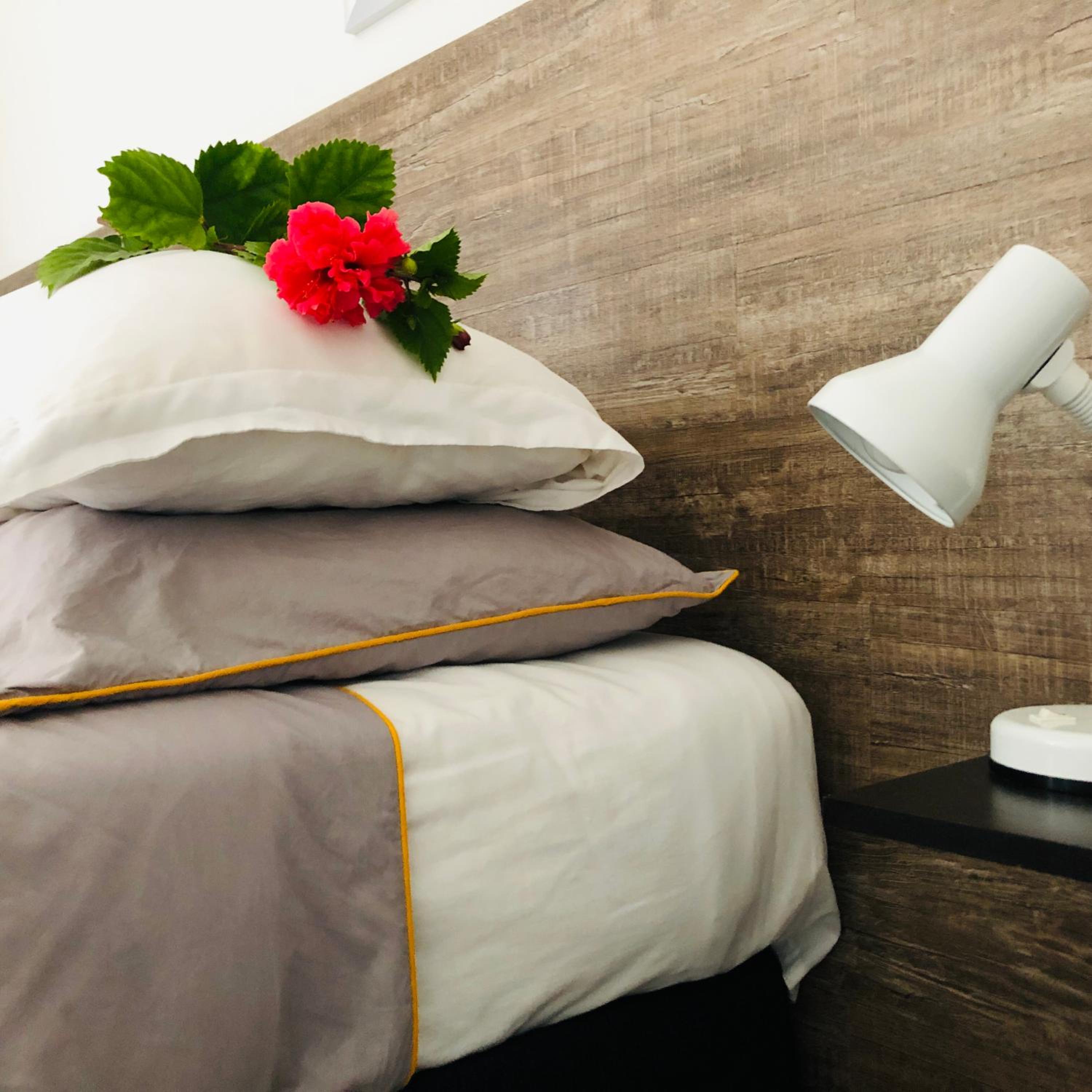 Bed & Sleeping Area