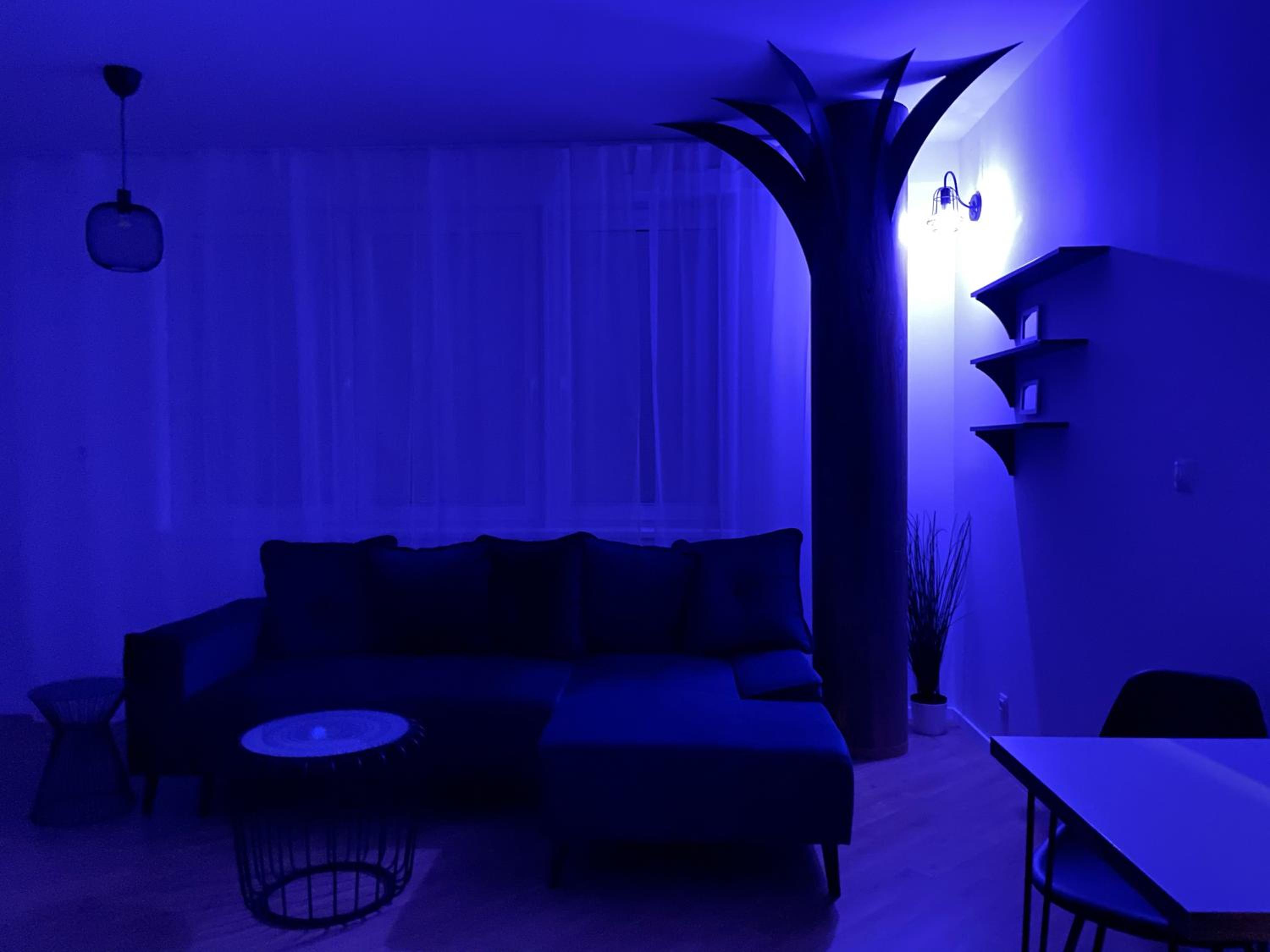 One-Bedroom Apartment - Photo 2