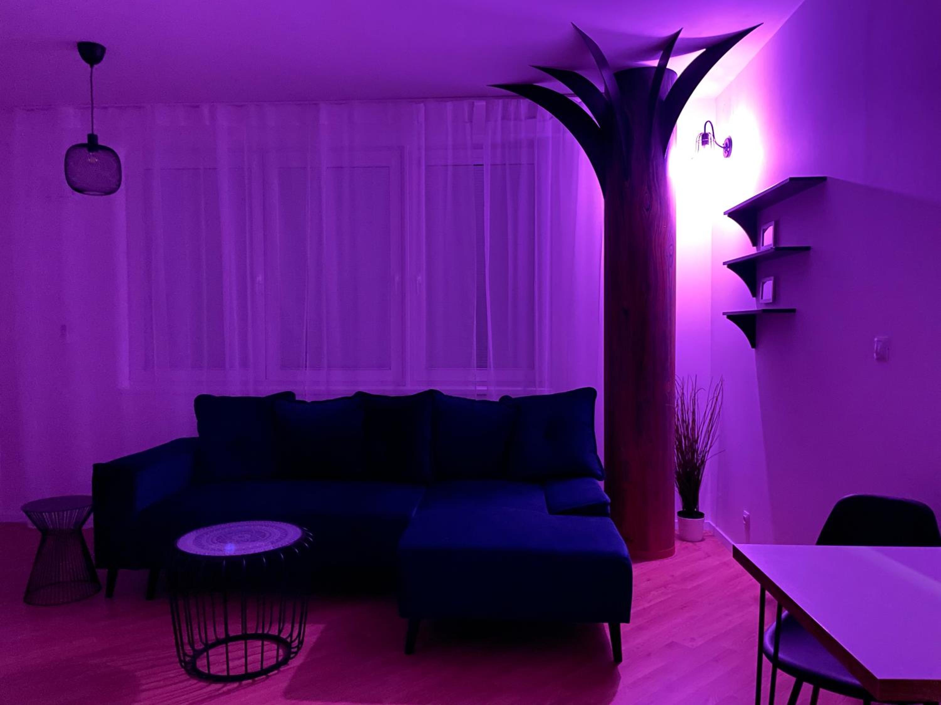 One-Bedroom Apartment - Photo 11
