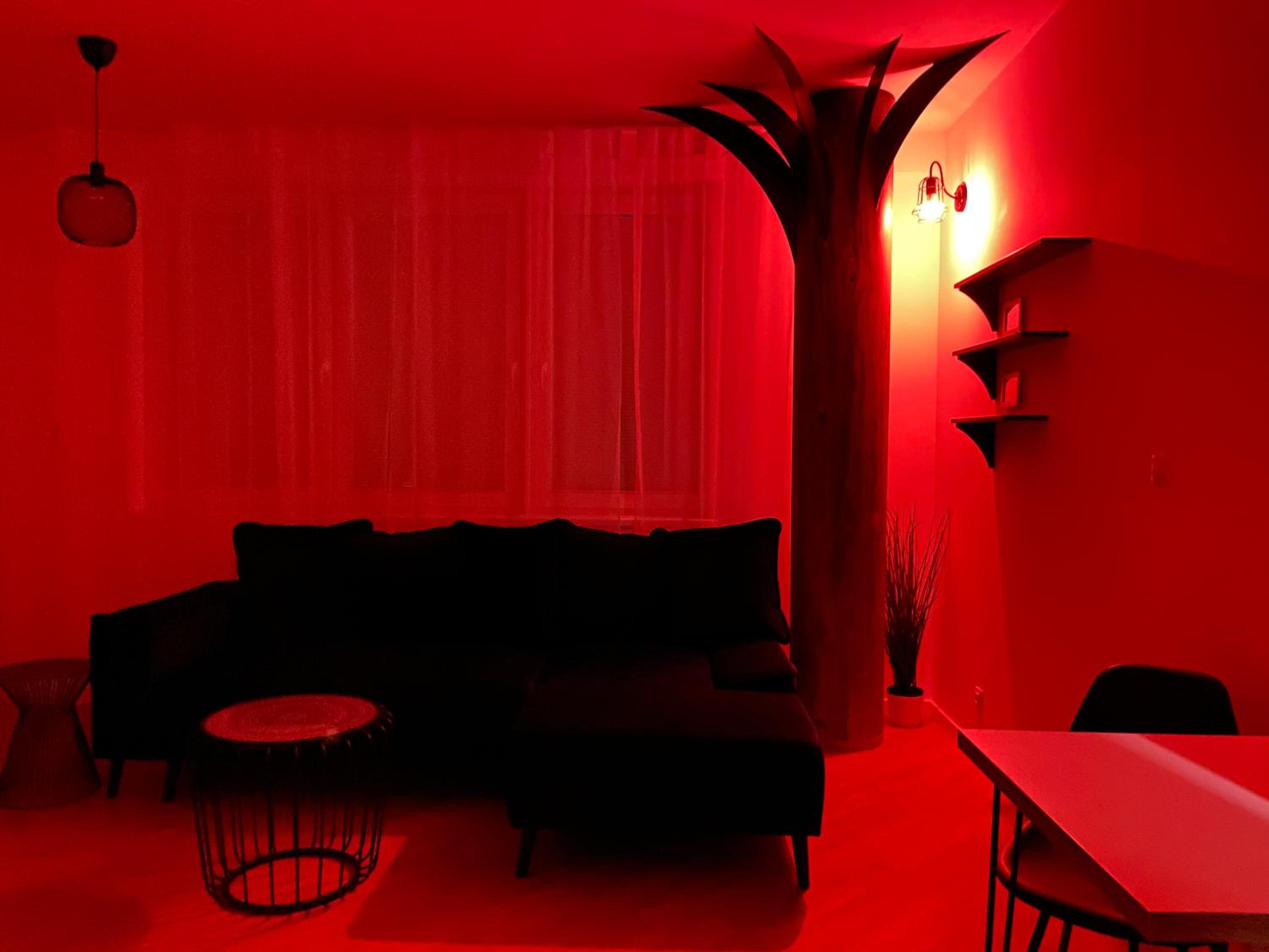 One-Bedroom Apartment - Photo 14