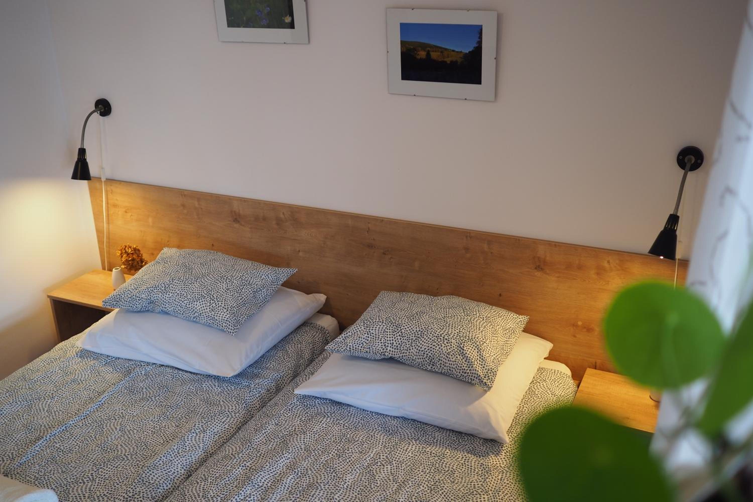 Double Room photo 2