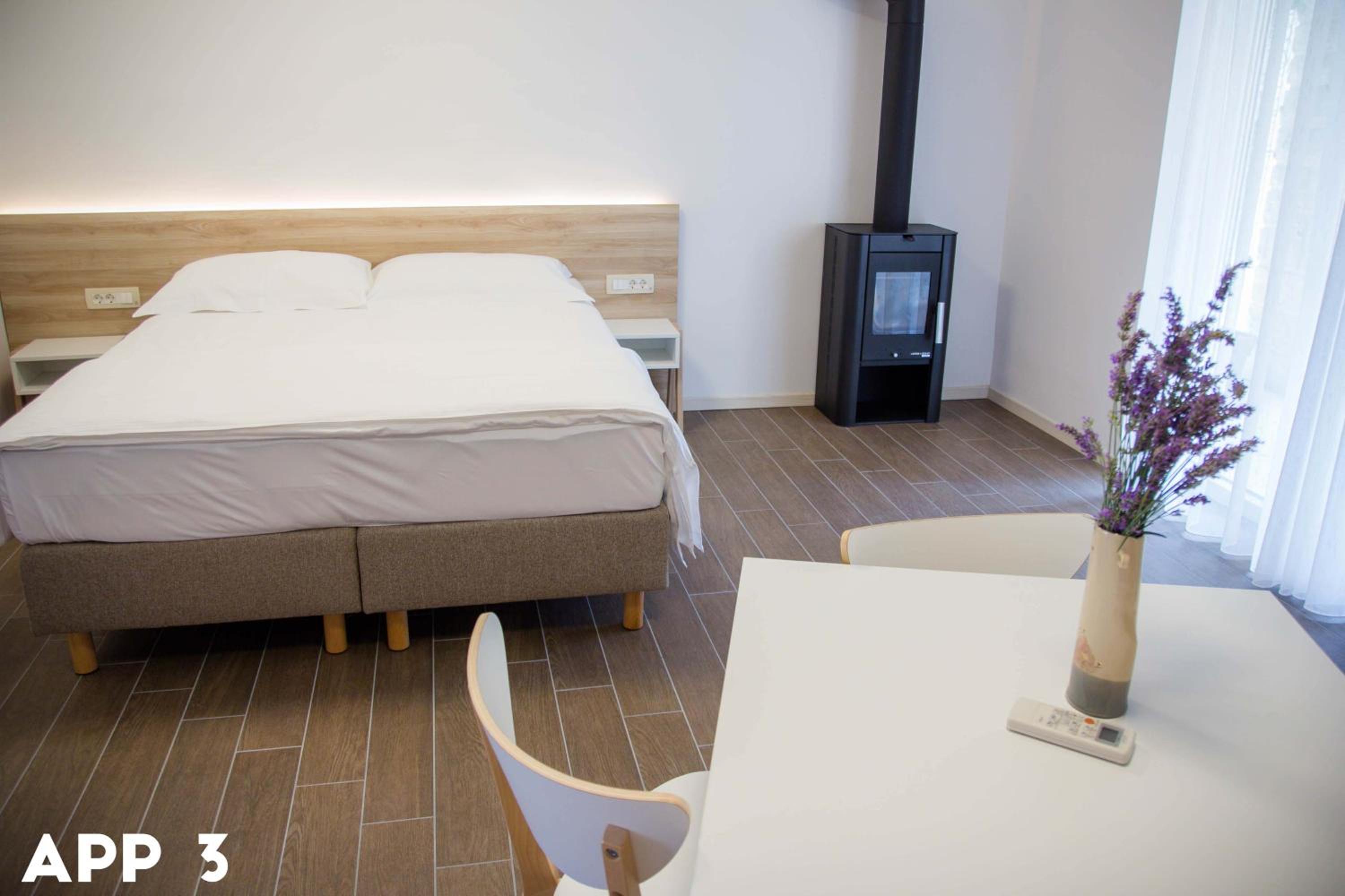 Standard Apartment with Terrace