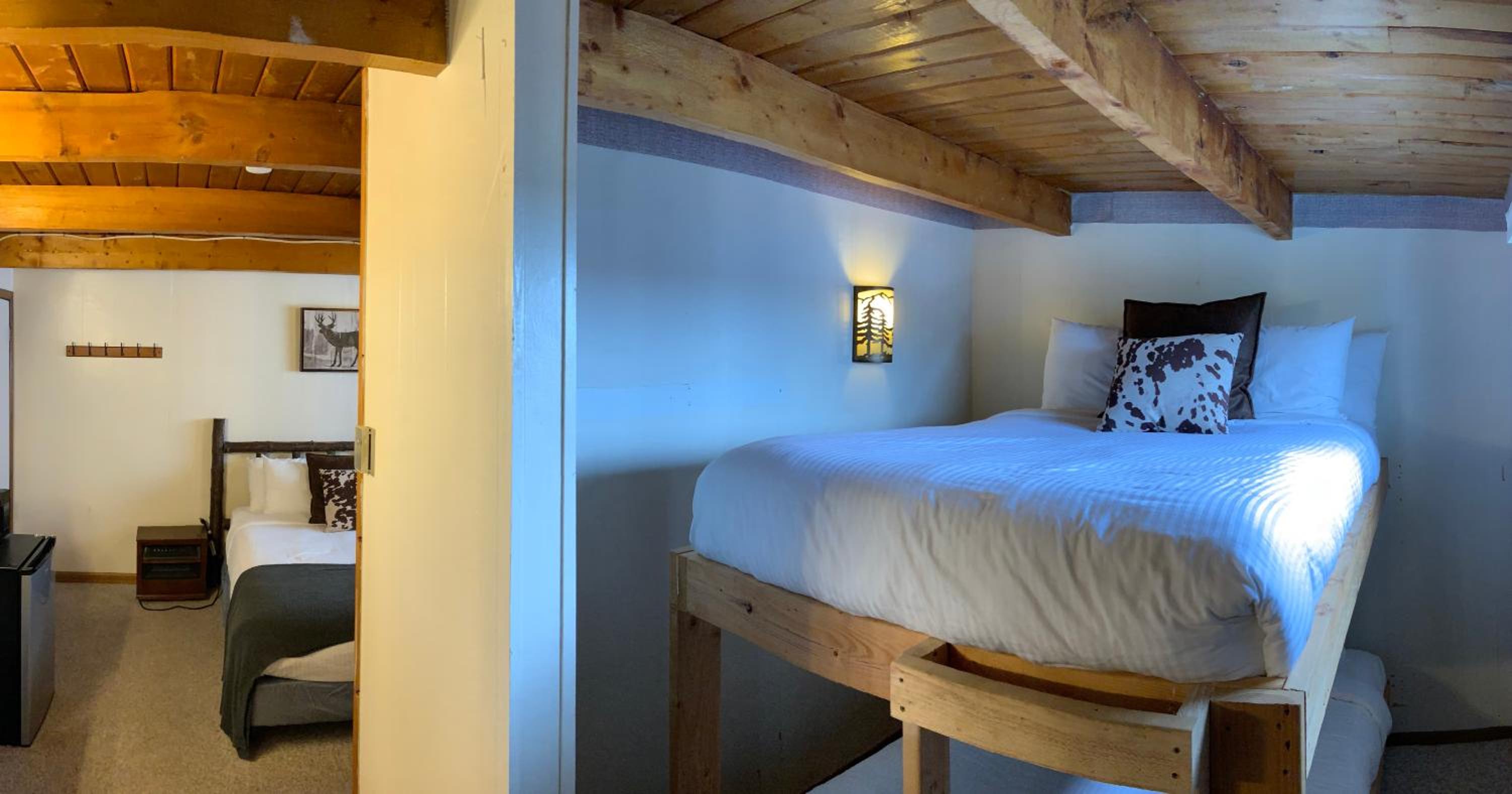 Main Lodge with 1 Queen Bed & 1 Bunk bed photo 2