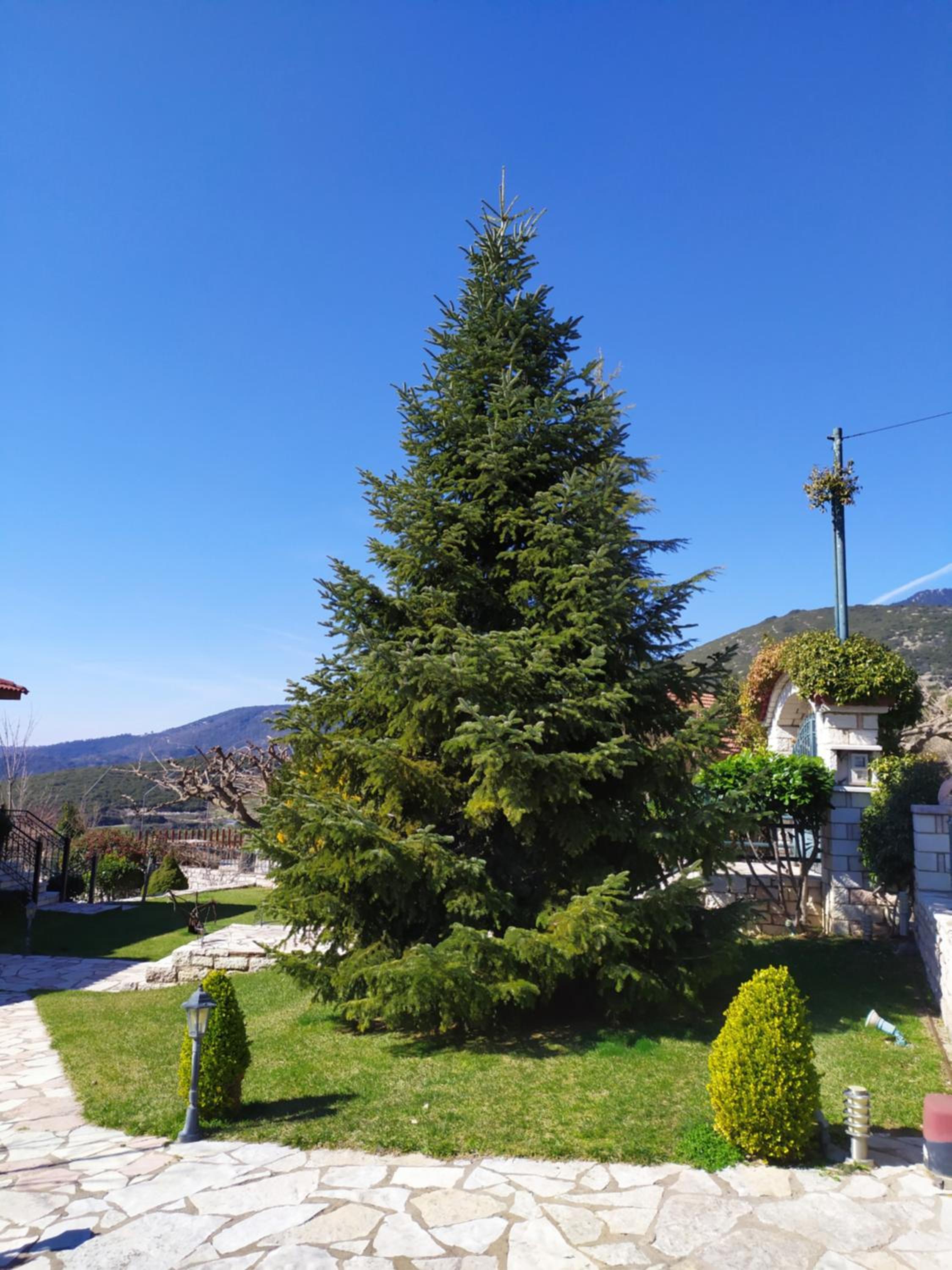 Vacation Home - Photo 33