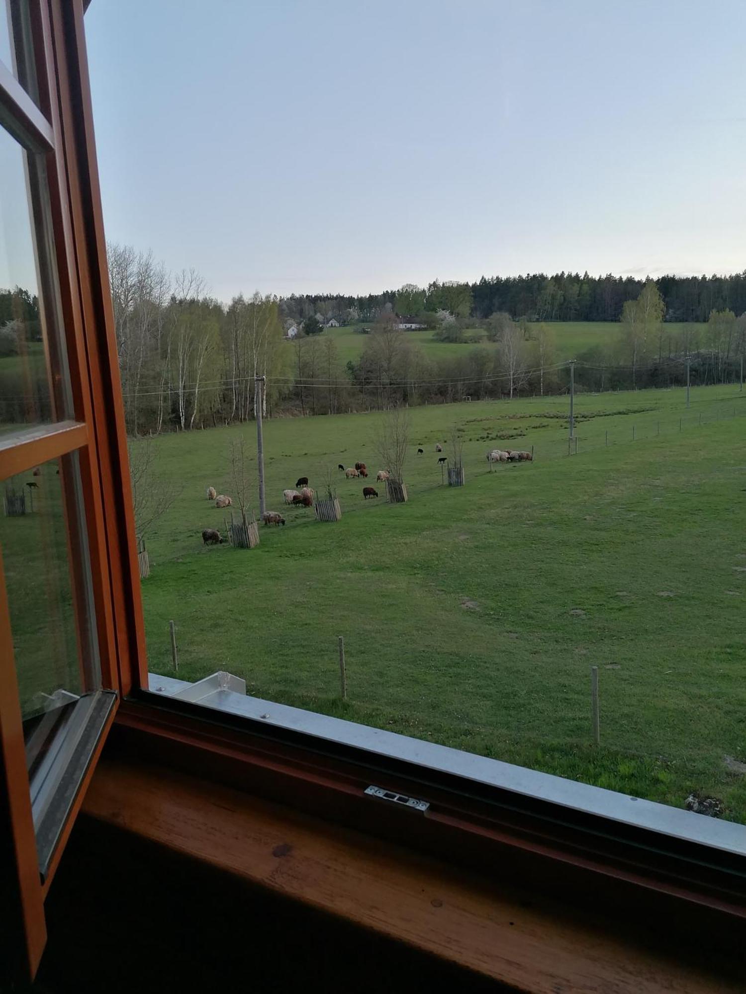 Standard Double Or Twin Room With Garden View photo 2