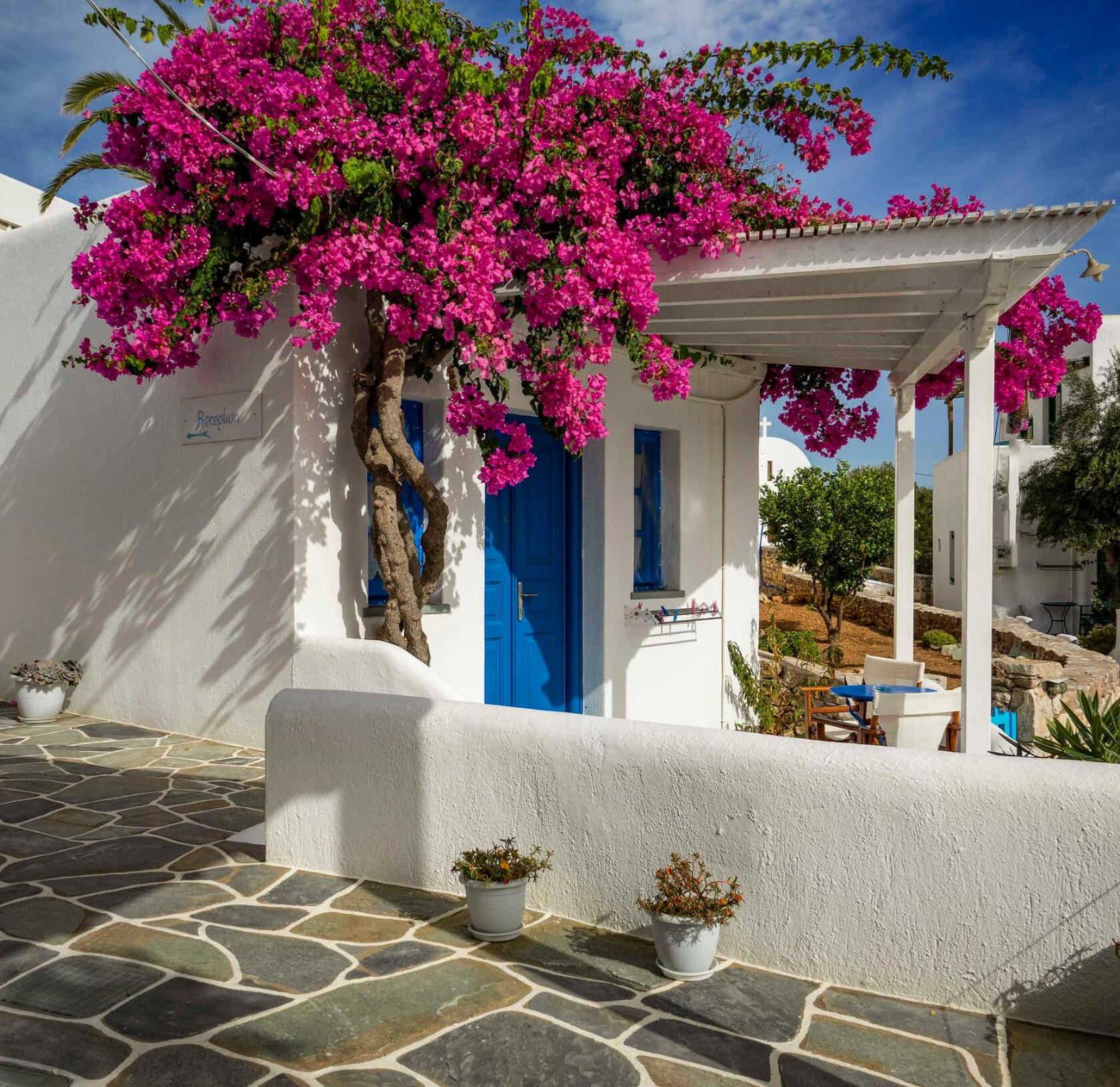 Double Room with Terrace photo 2