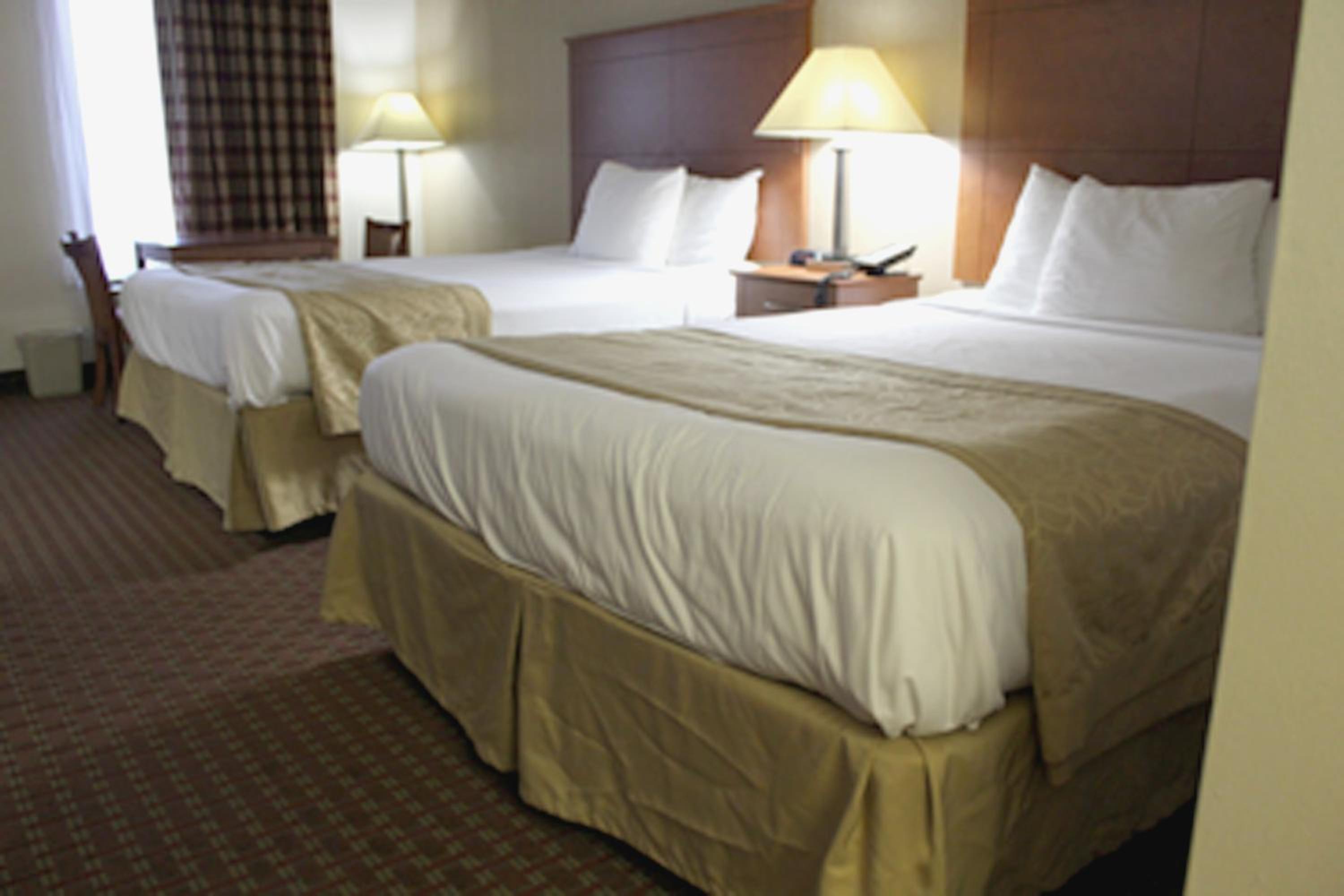 Queen Room with Two Queen Beds - Mobility Access/Non-Smoking photo 2