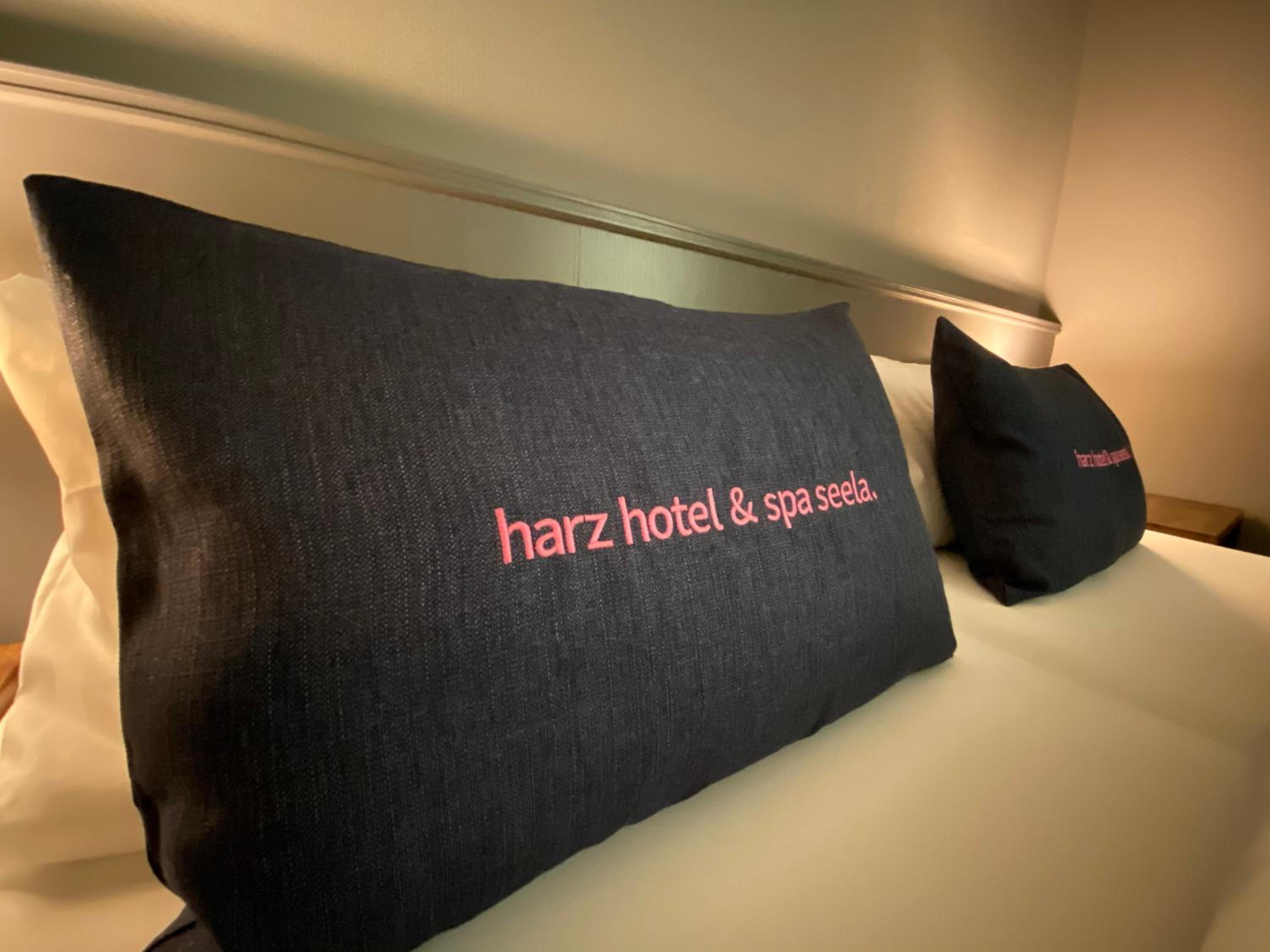 Small Double Room "Harz Klassik"