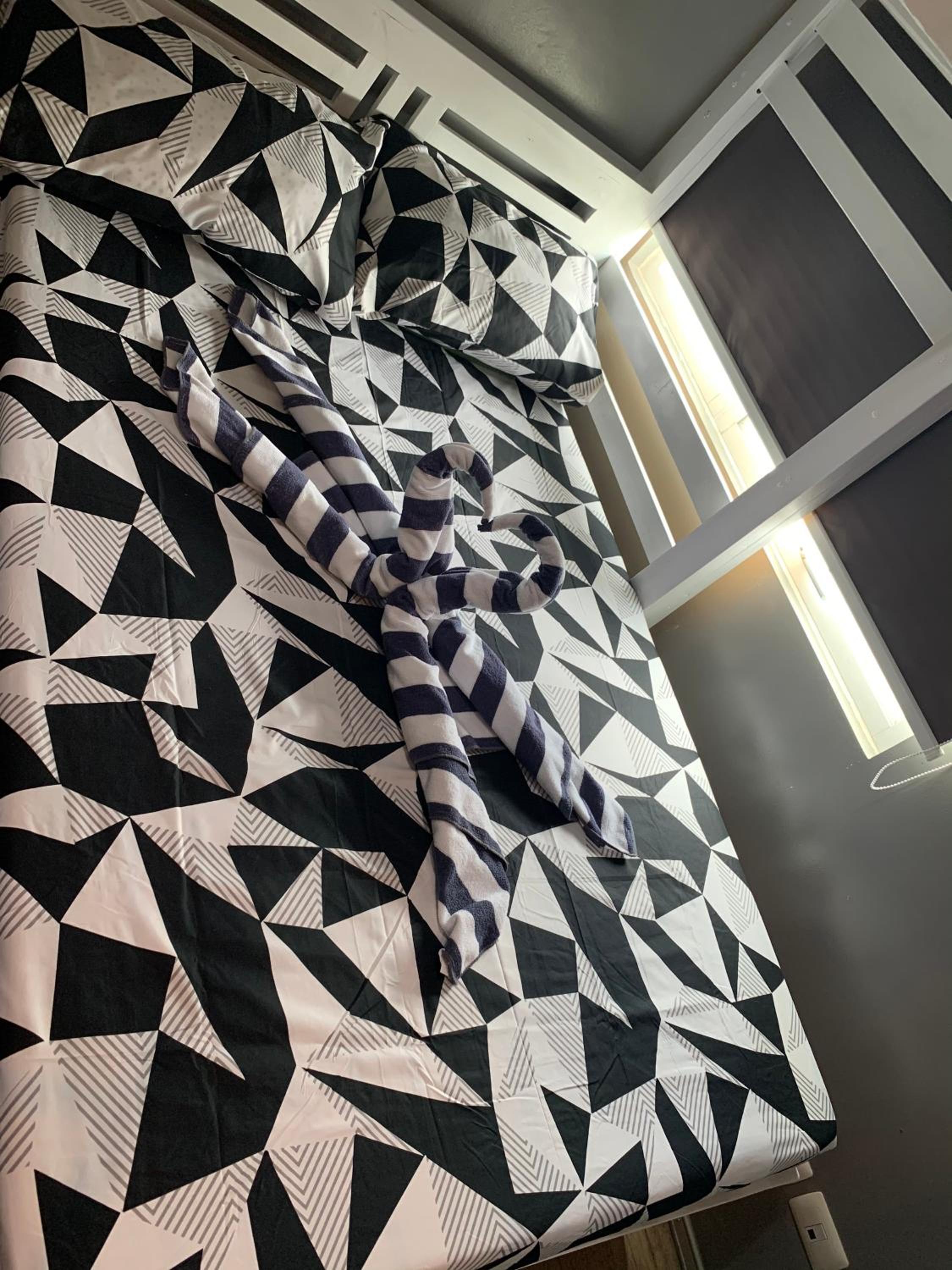 Studio Apartment - Photo 4
