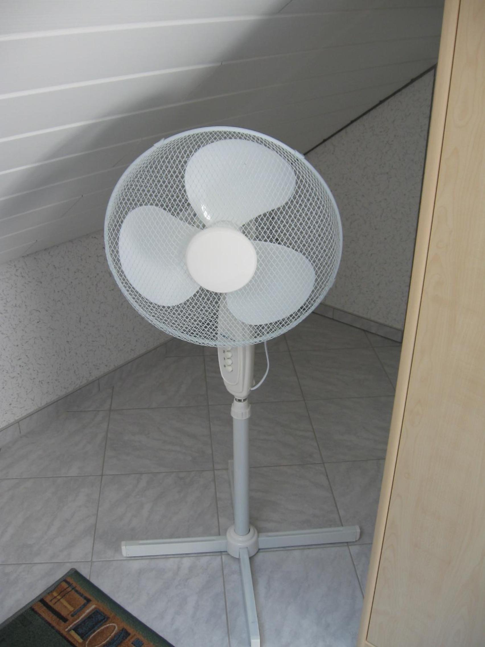 Apartment - Photo 8