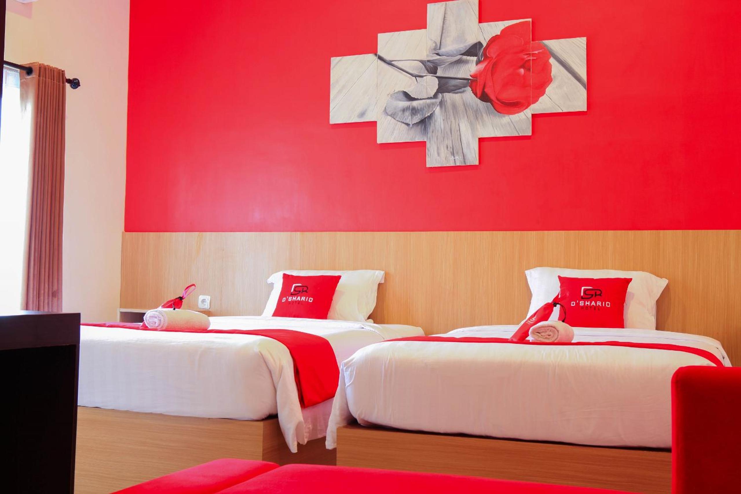 Deluxe Double Or Twin Room photo 3