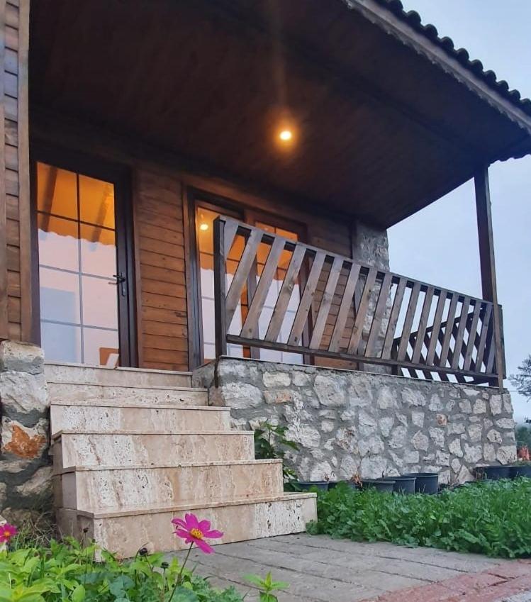 Double Room with Patio - Photo 4