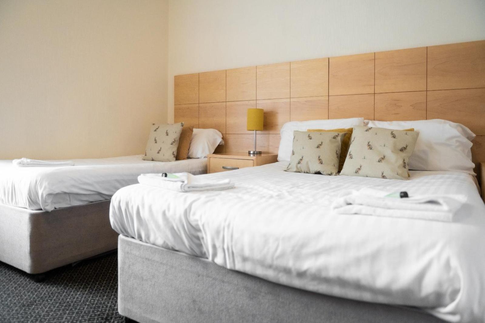 Standard Quadruple Room - Photo 9