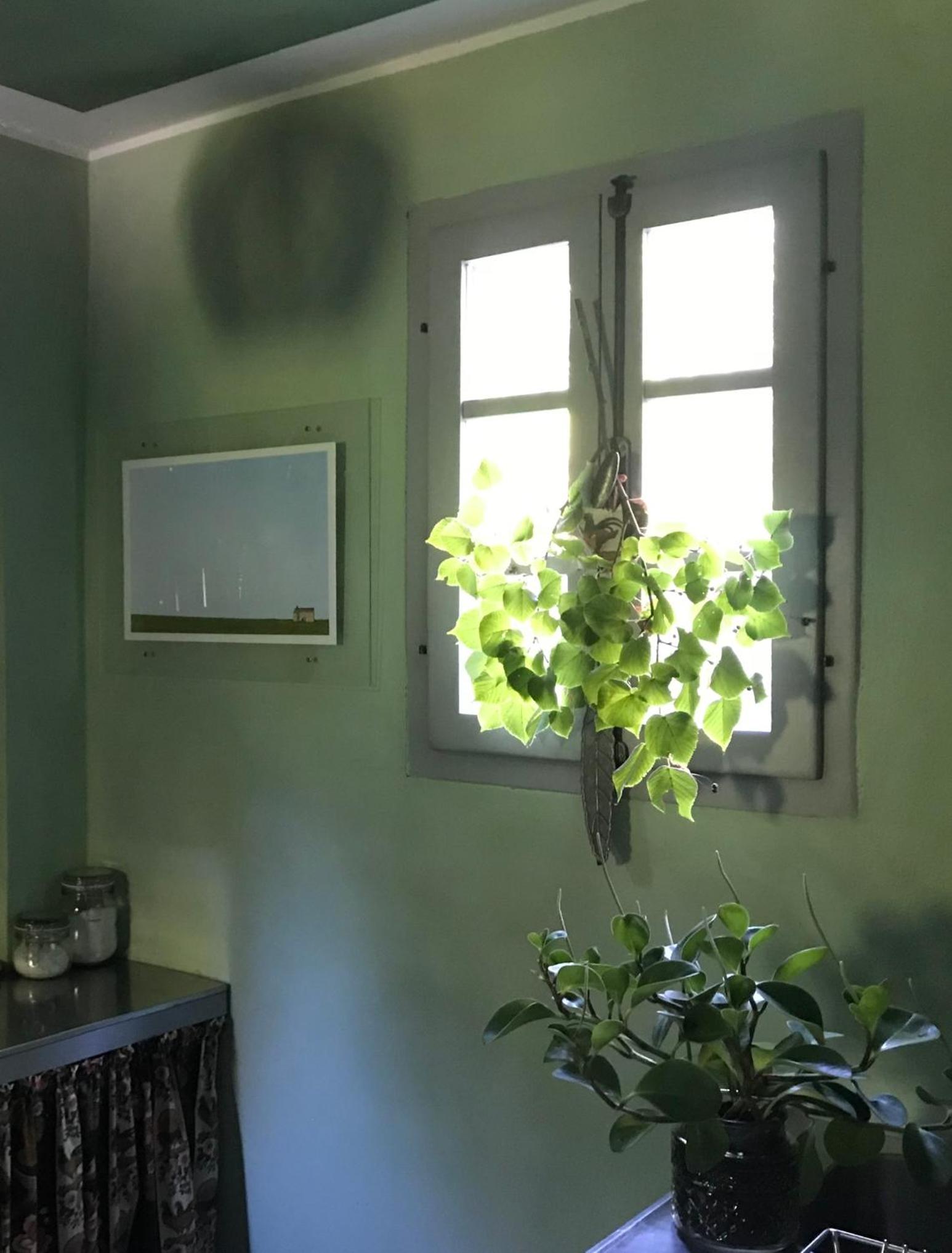 Studio with Garden View - Photo 11