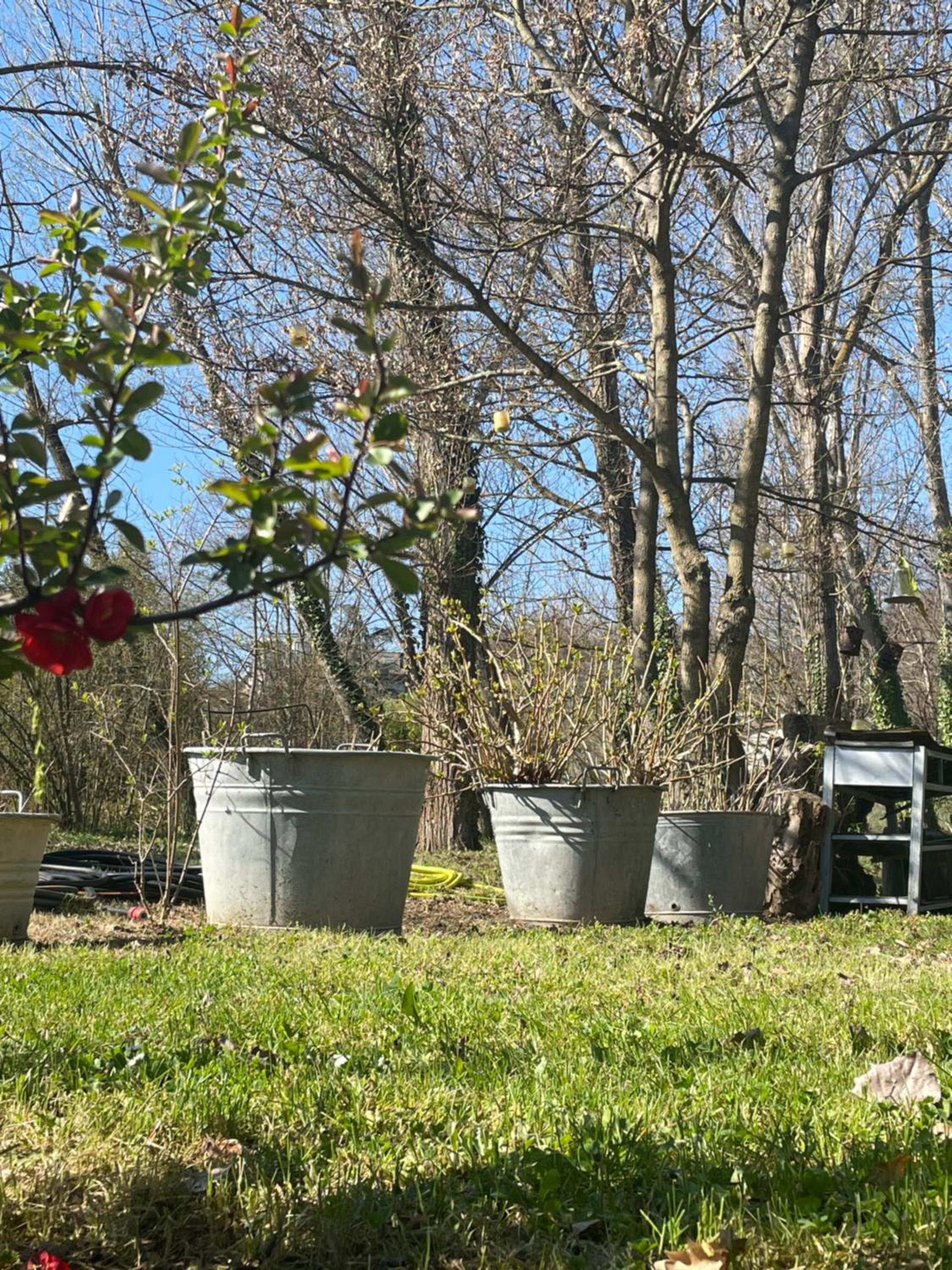 Studio with Garden View - Photo 52