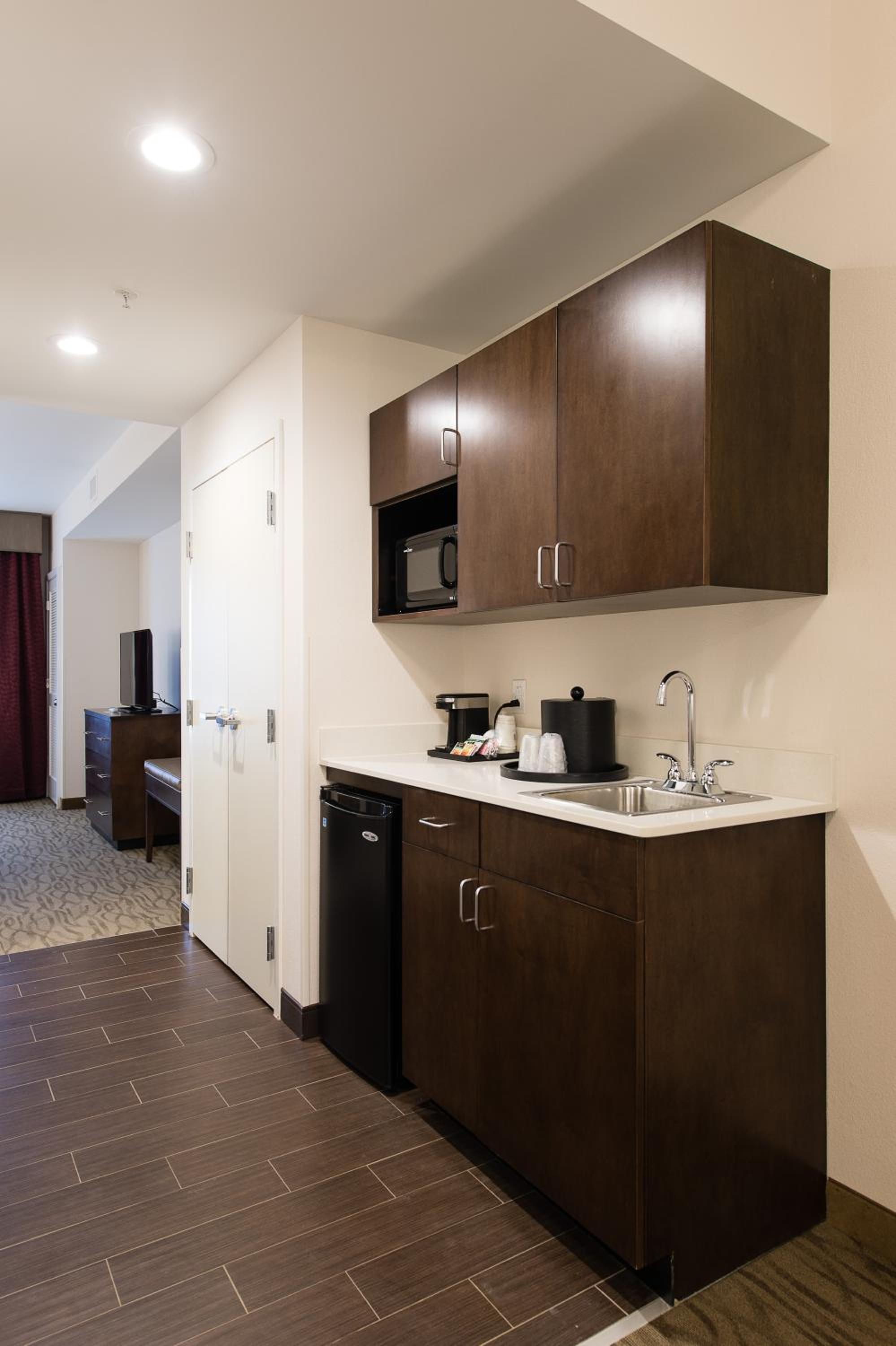 One-Bedroom Suite photo 2