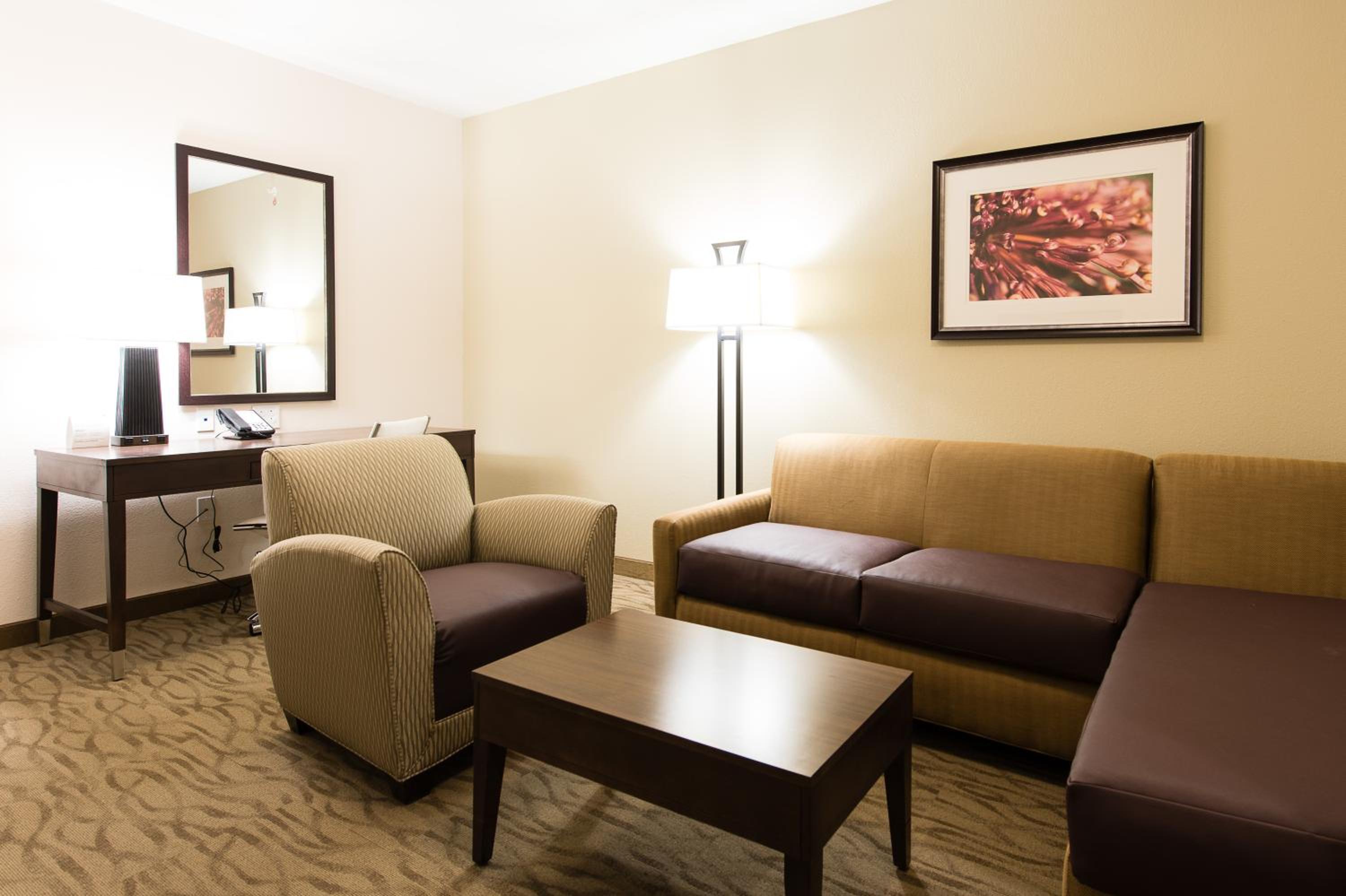 One-Bedroom Suite photo 1