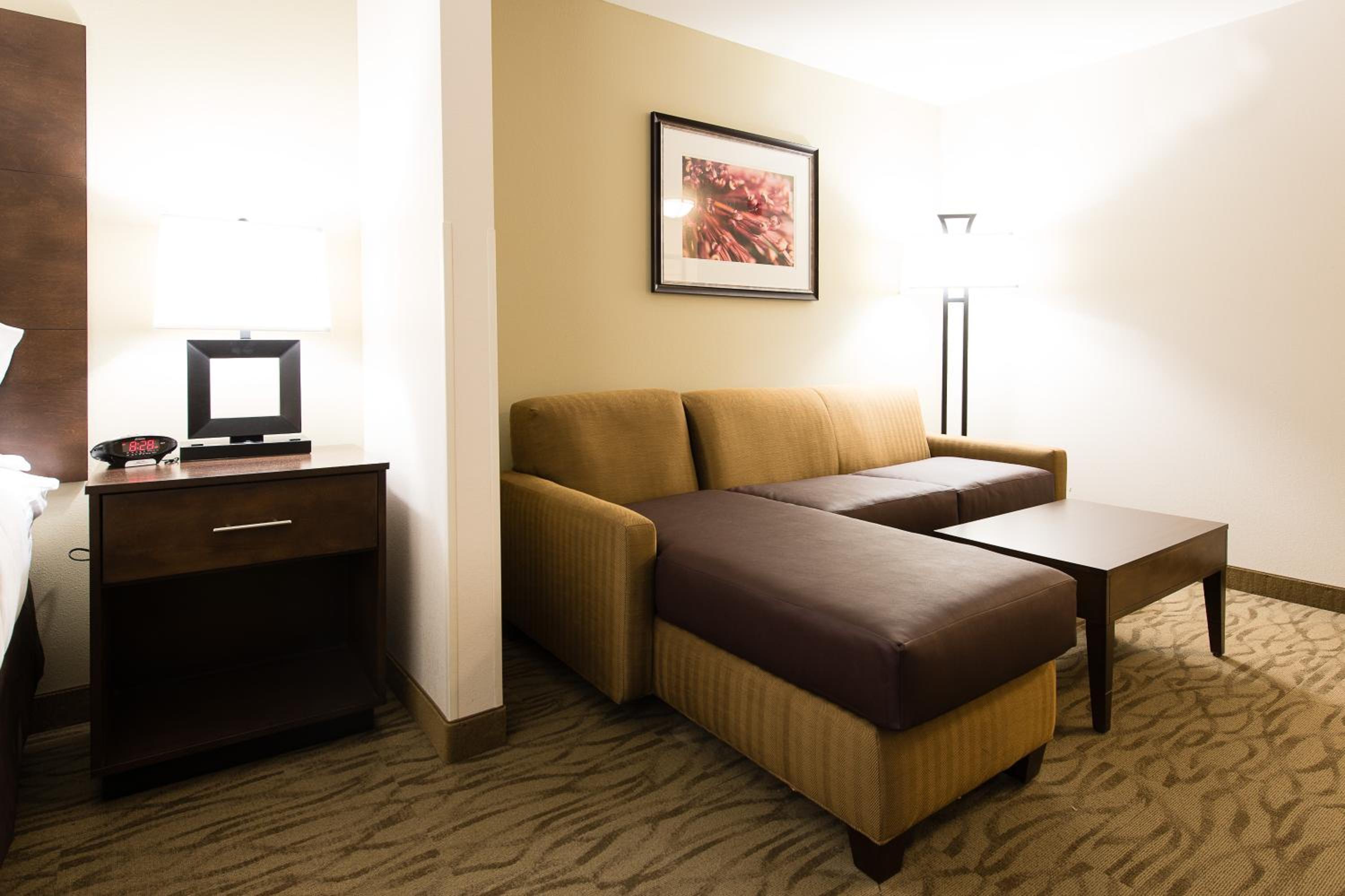 Standard King Room With Sofa Bed