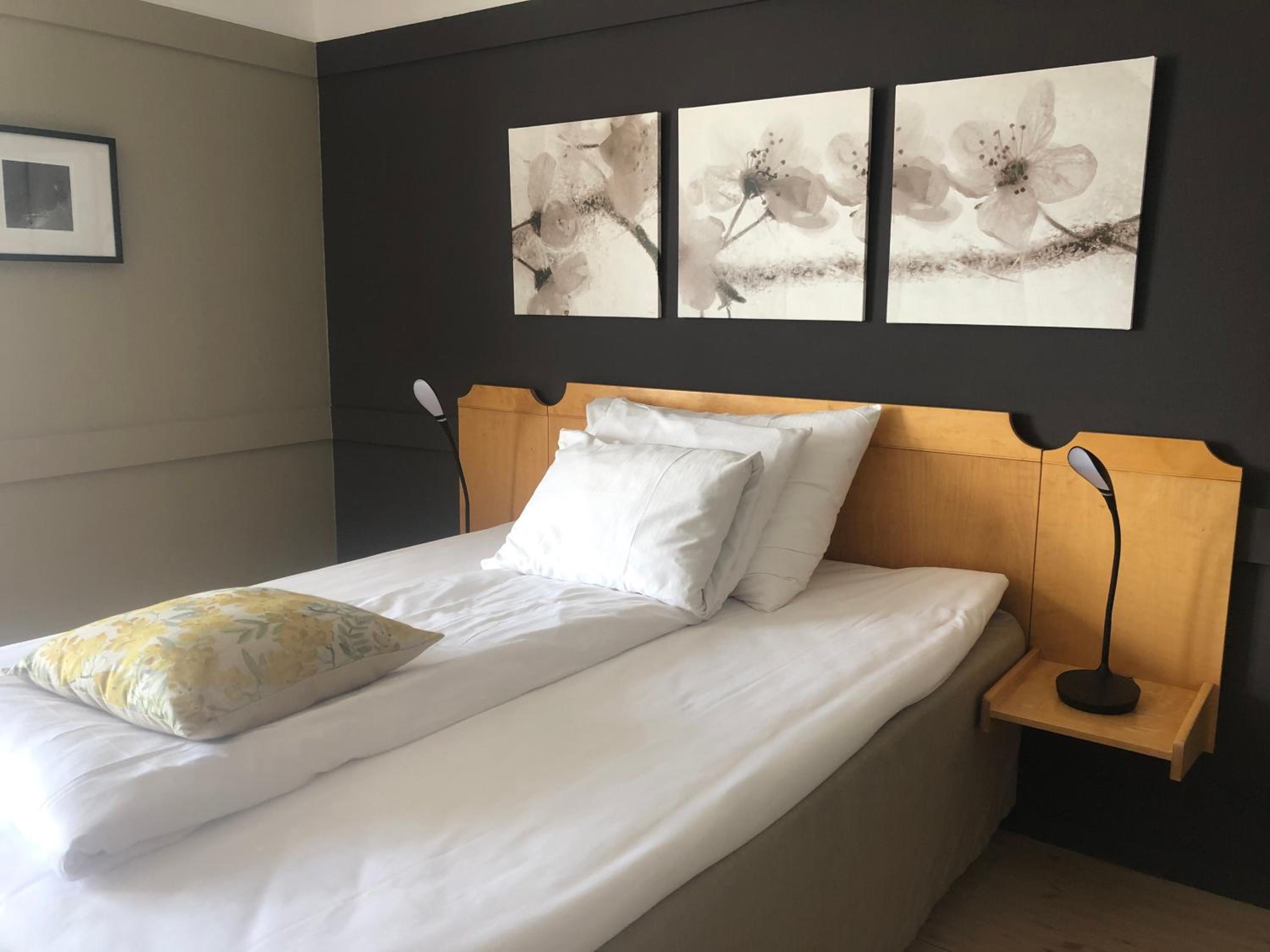 Single Room photo 3
