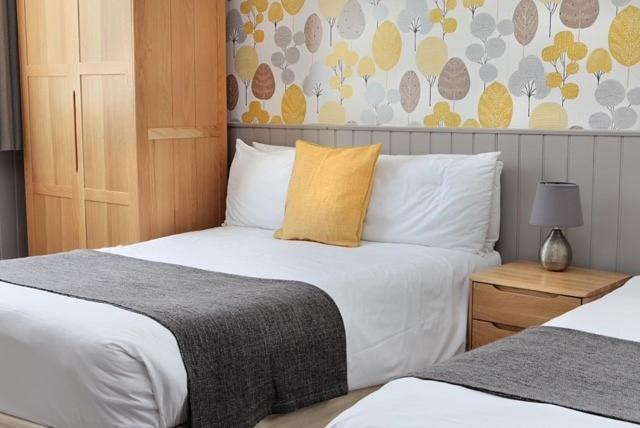 Twin Room photo 2