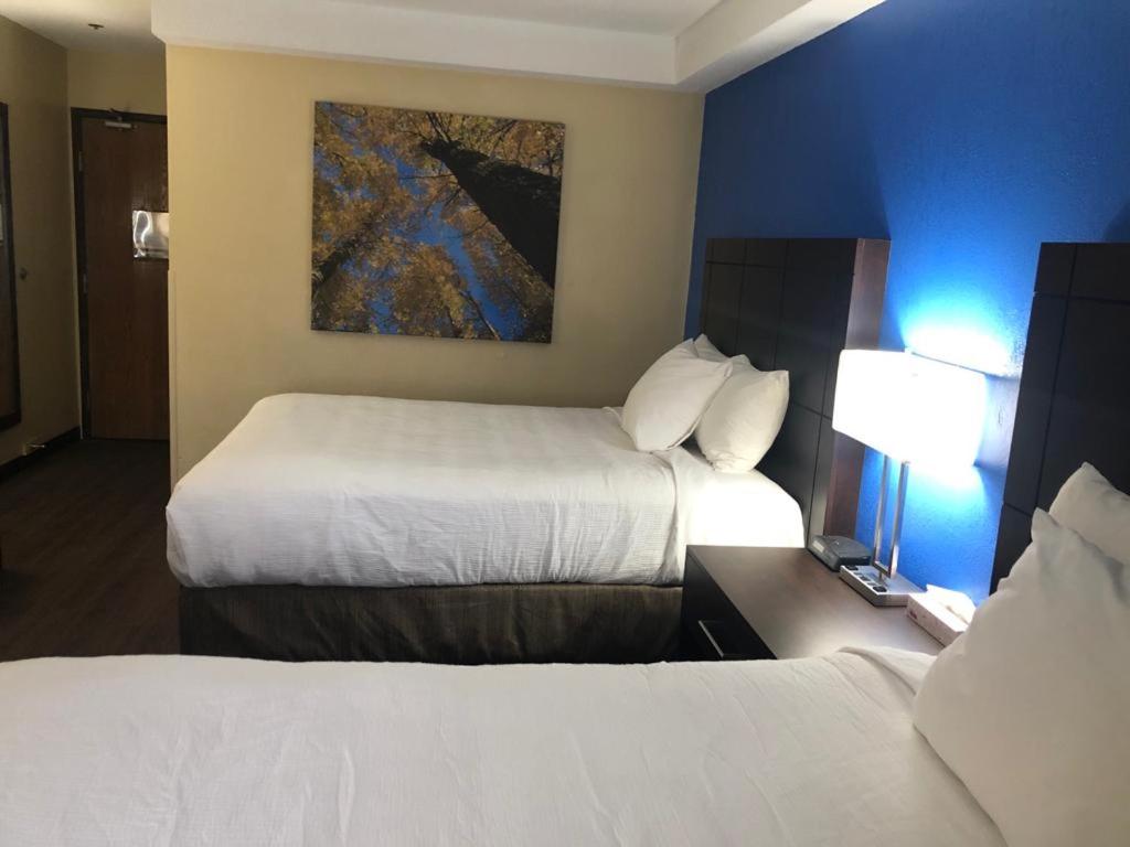 Deluxe Family Suite - Photo 1