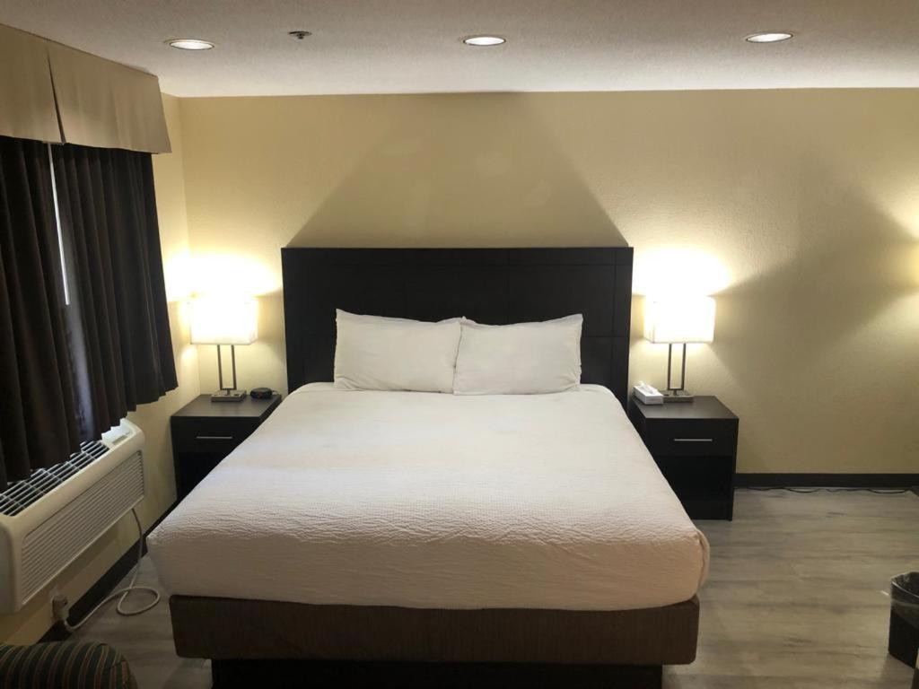 Deluxe King Suite - Non-Smoking - Photo 1