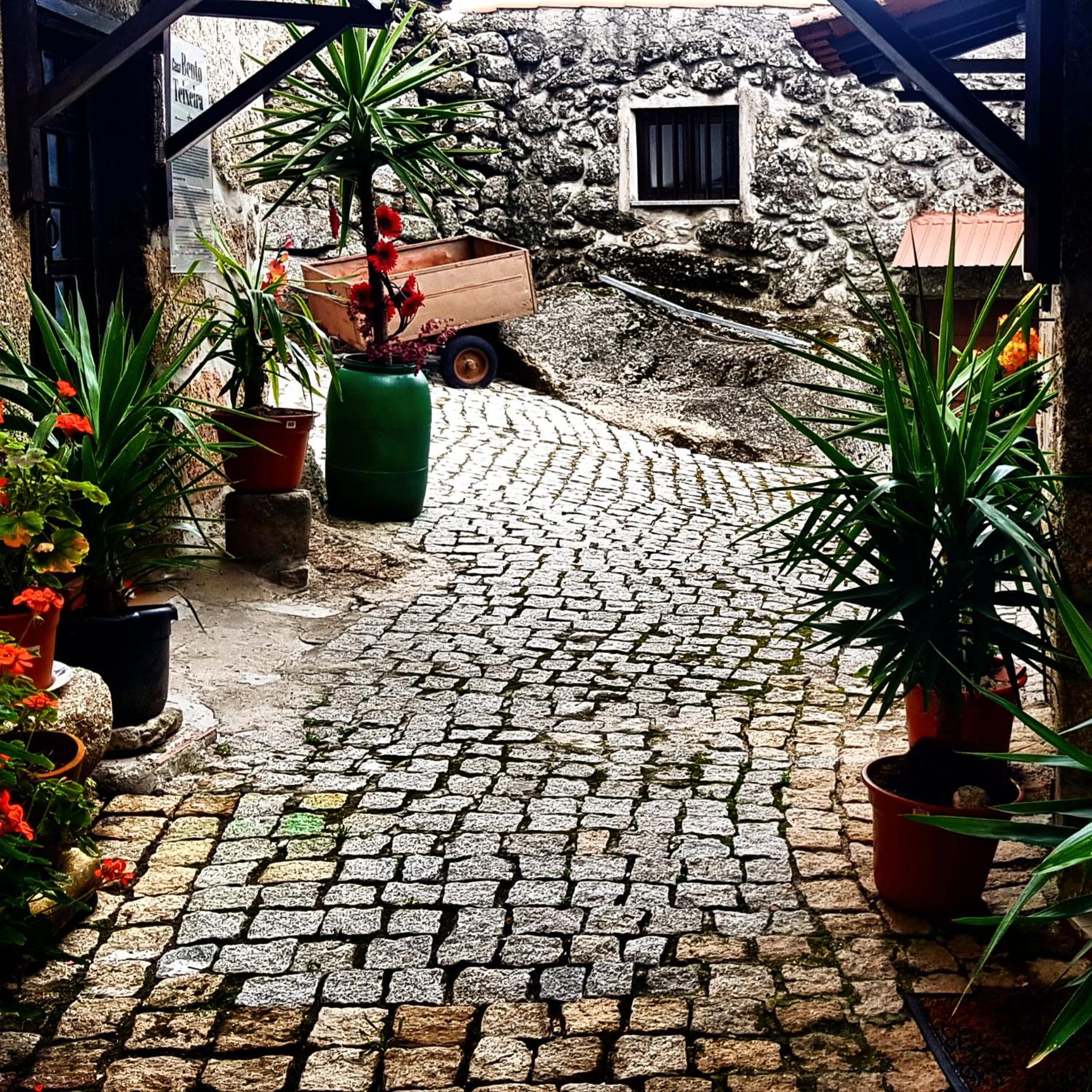 Vacation Home - Photo 15