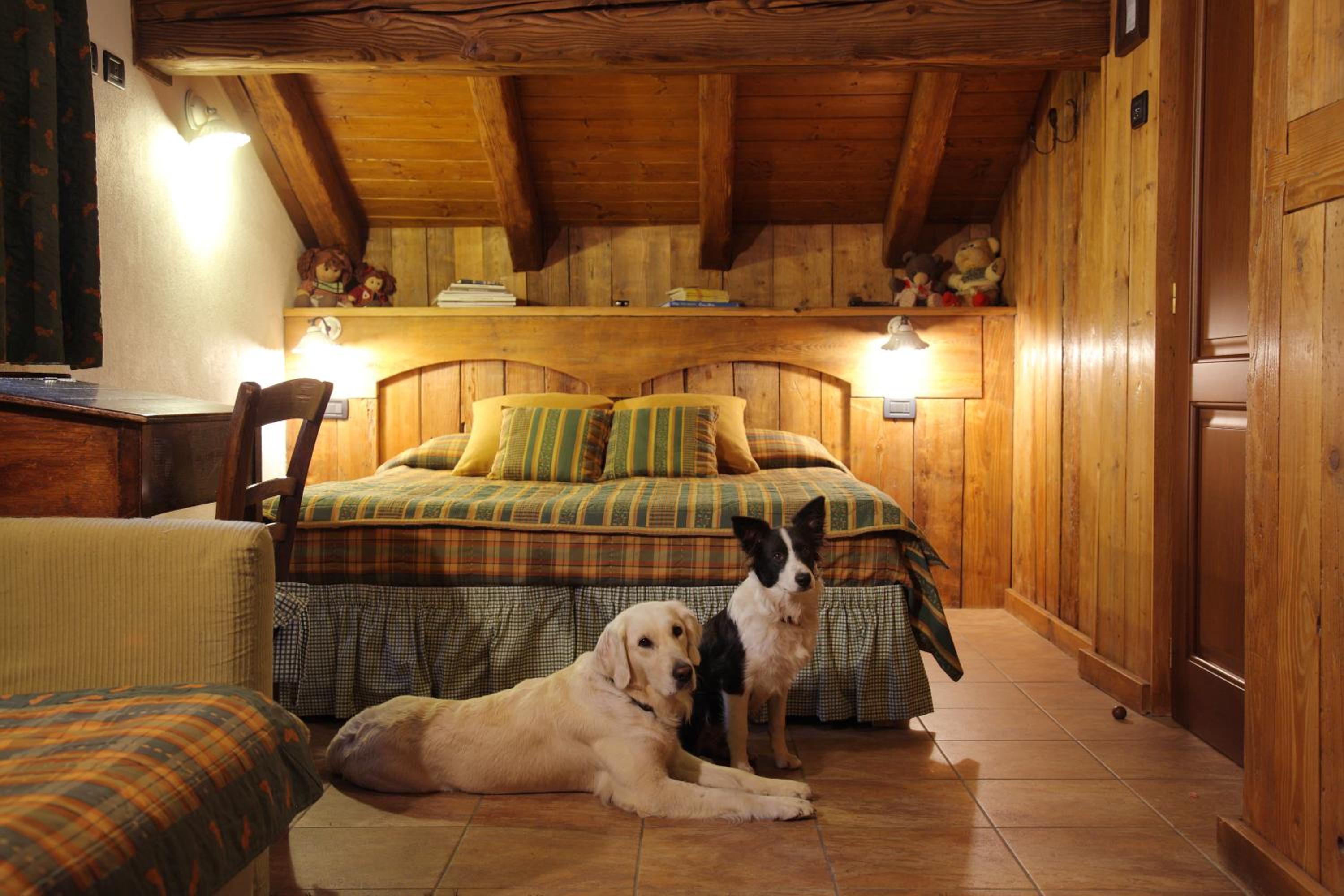 Comfort Quadruple Room - Photo 1