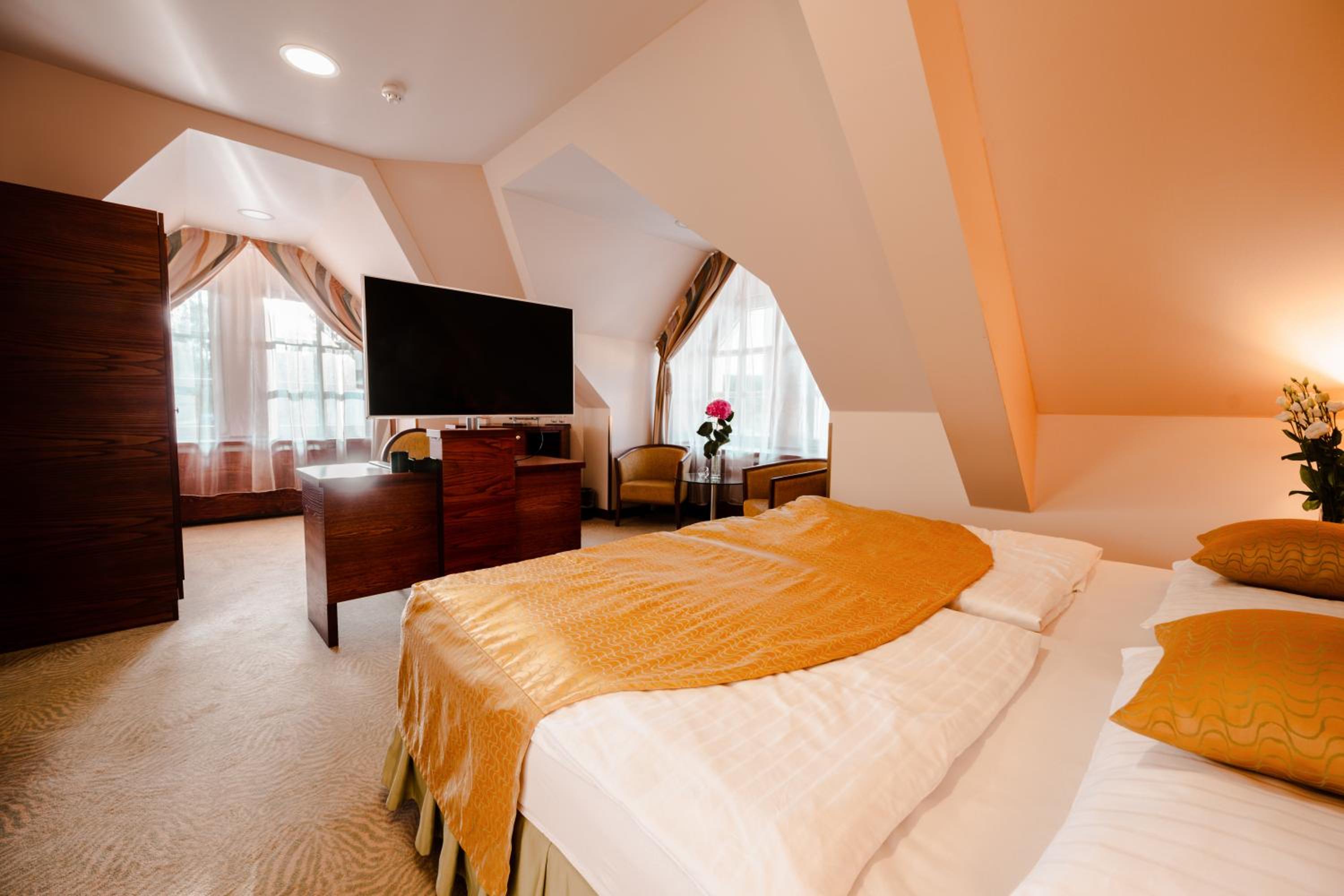 Deluxe Double or Twin Room