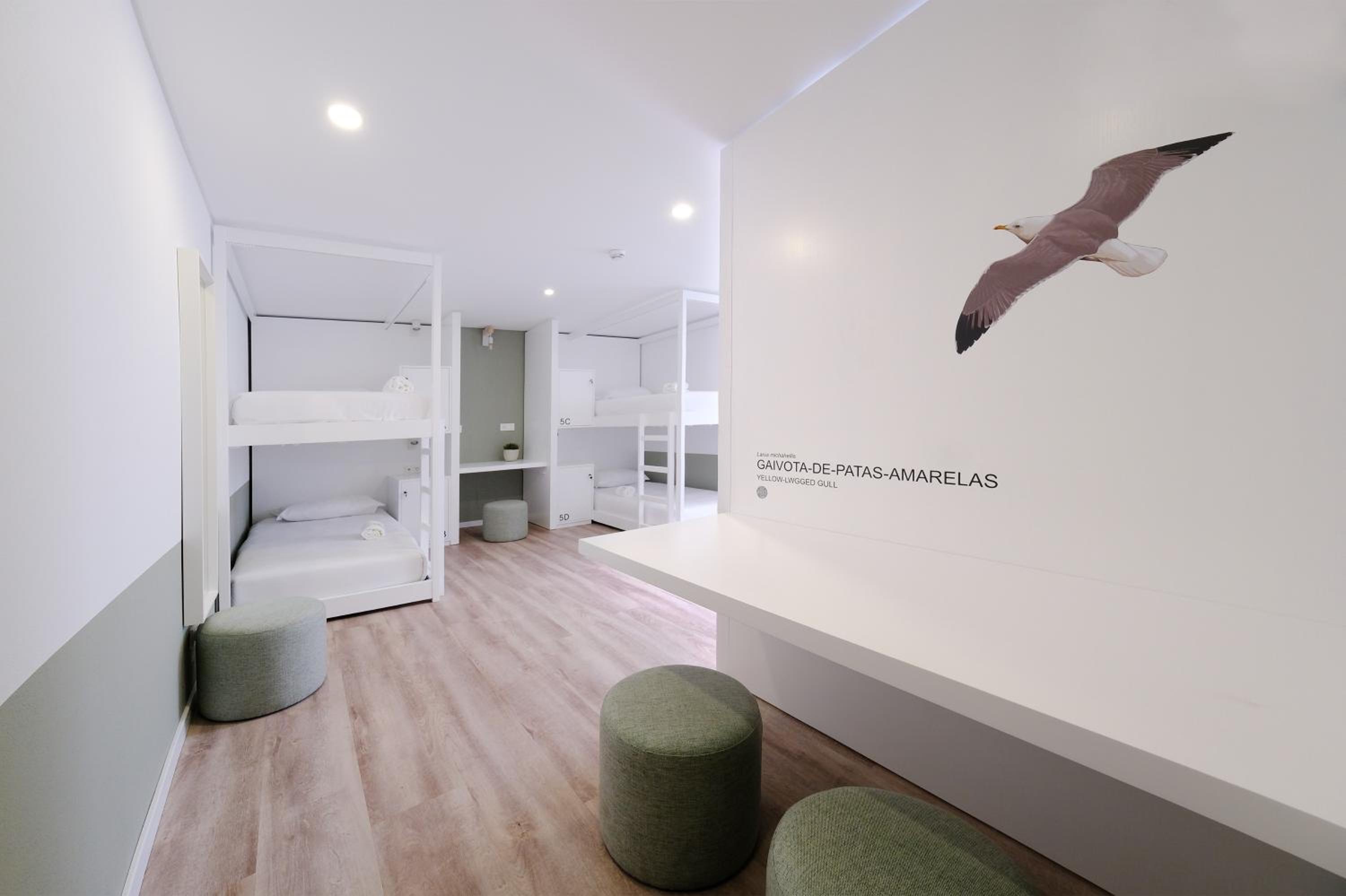 Single Bed in Female Dormitory Room photo 1