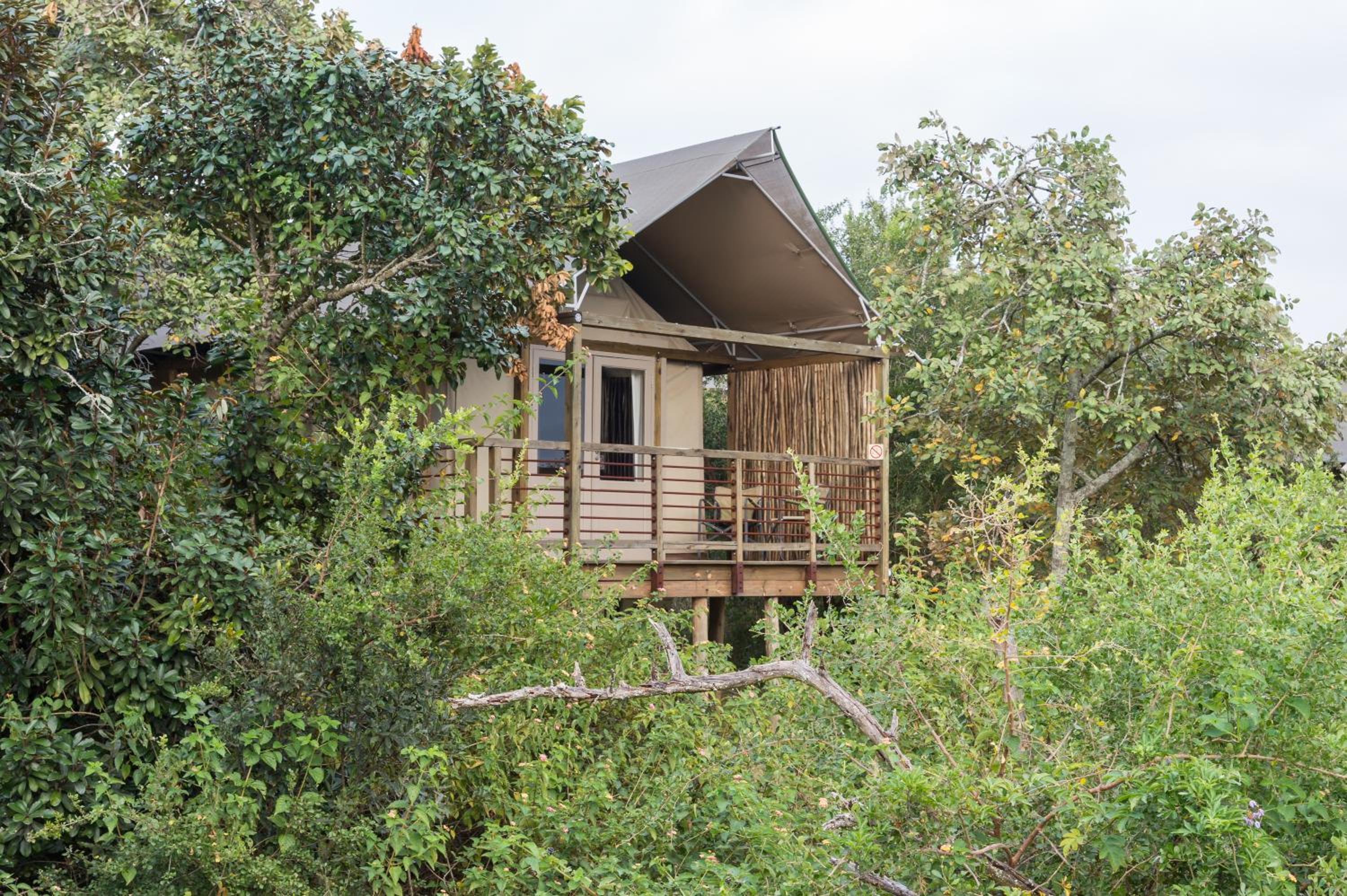 Luxury Safari Tent - Photo 2