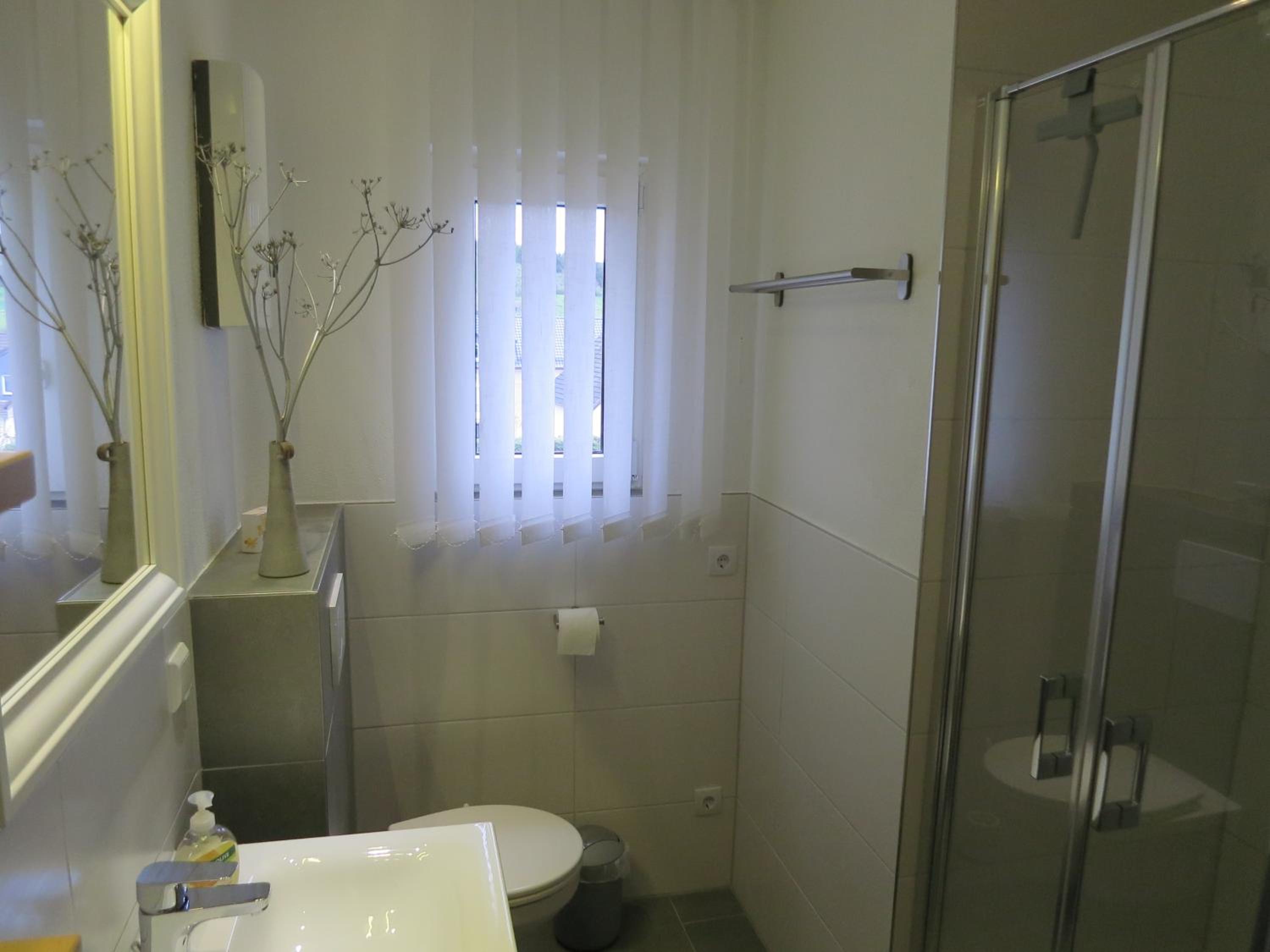 Apartment with Terrace photo 3