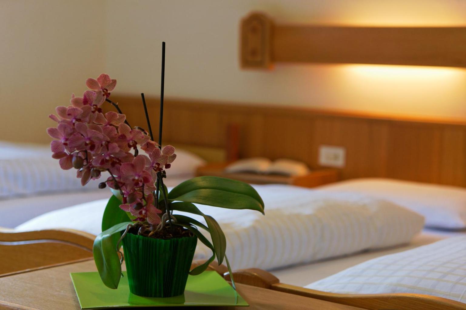 Double or Twin Room - Photo 1