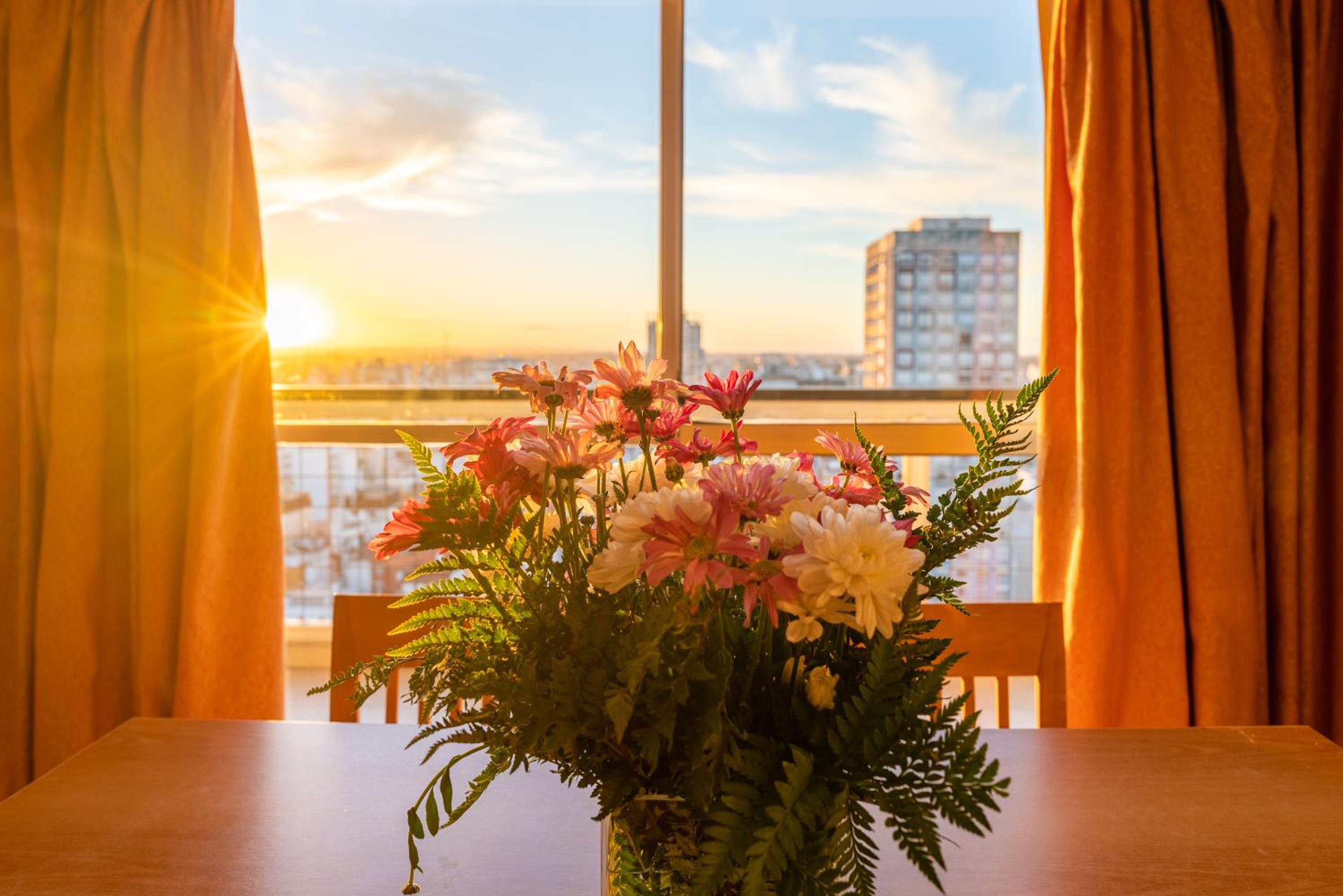 One-Bedroom Apartment with City View photo 3