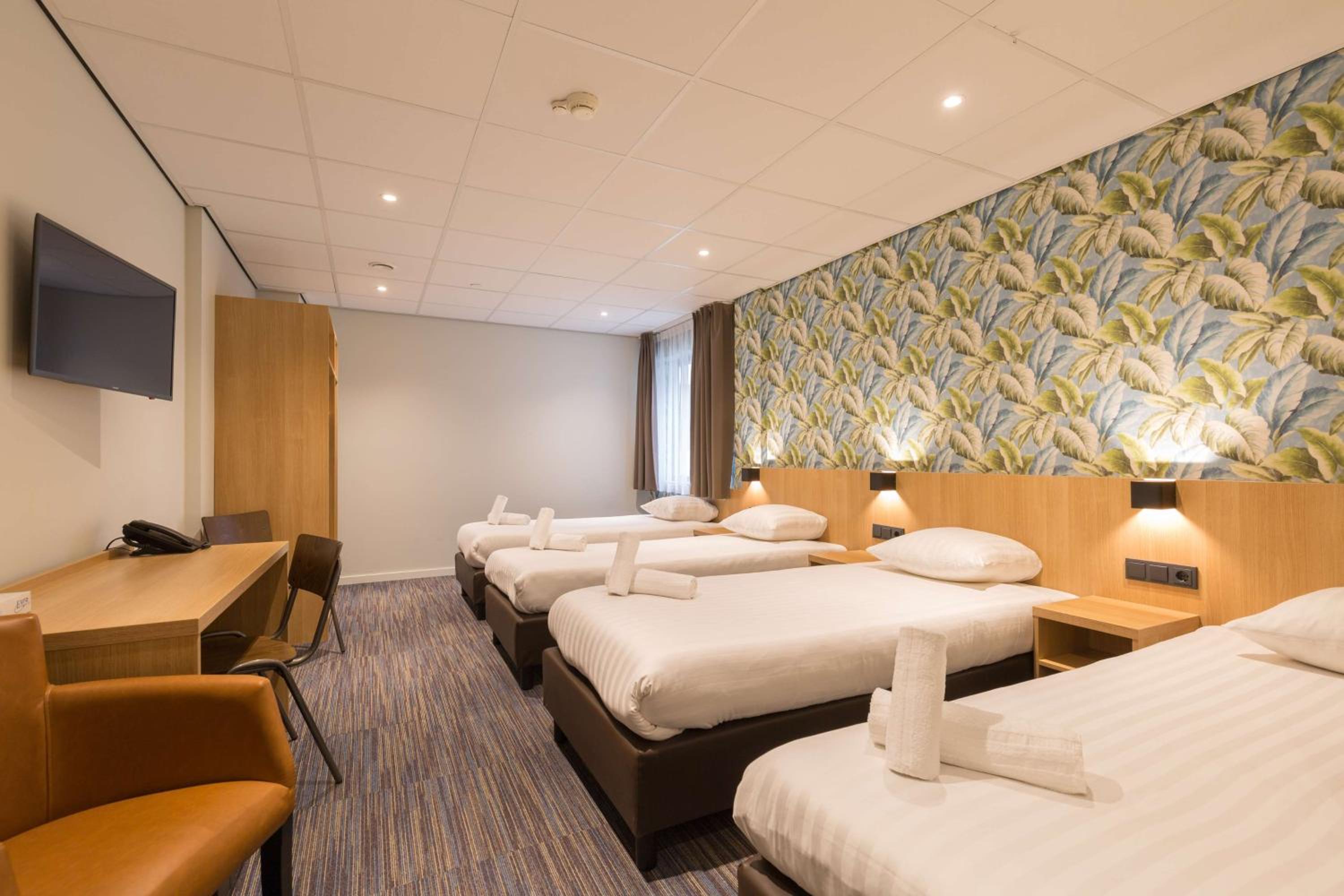Comfort Quadruple Room photo 1