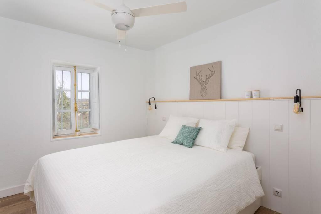 One-Bedroom House - Photo 9