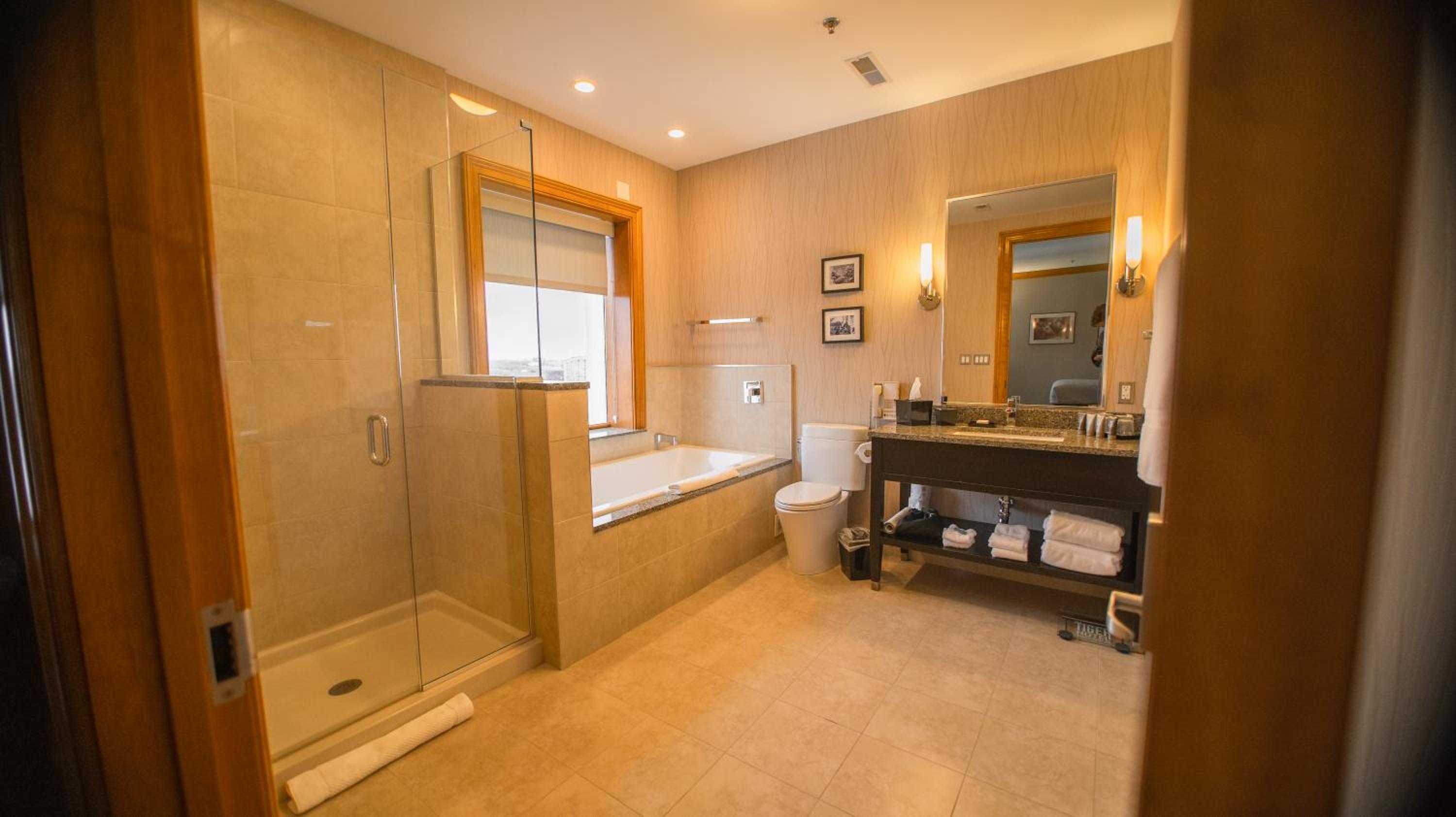 One-Bedroom Suite - Photo 6