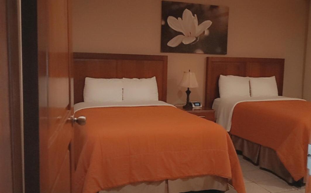 Standard Twin Room photo 3