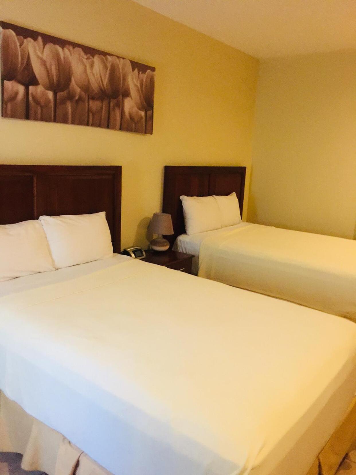Standard Twin Room photo 2