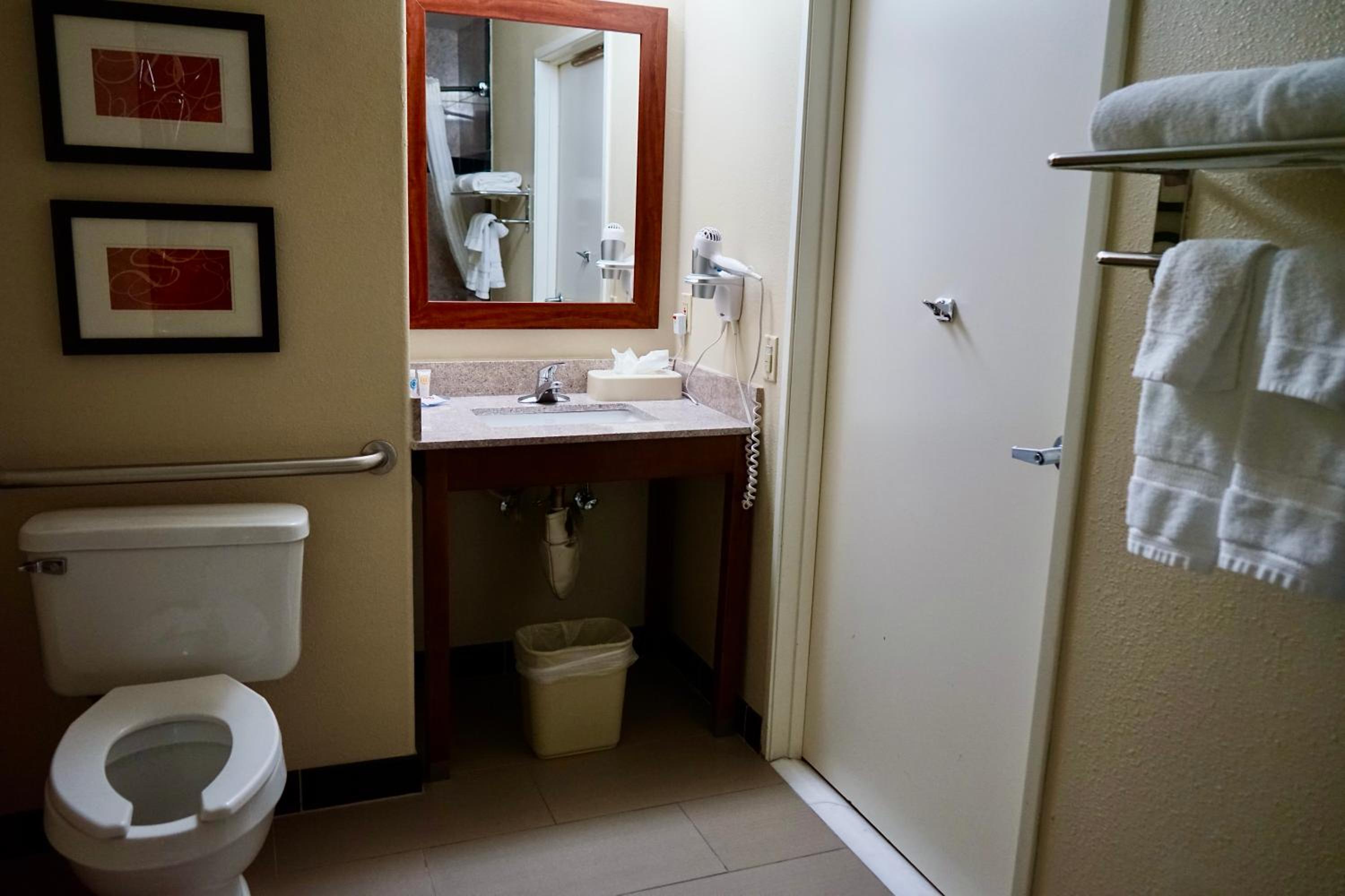 King Suite - Accessible/Non-Smoking - Photo 5