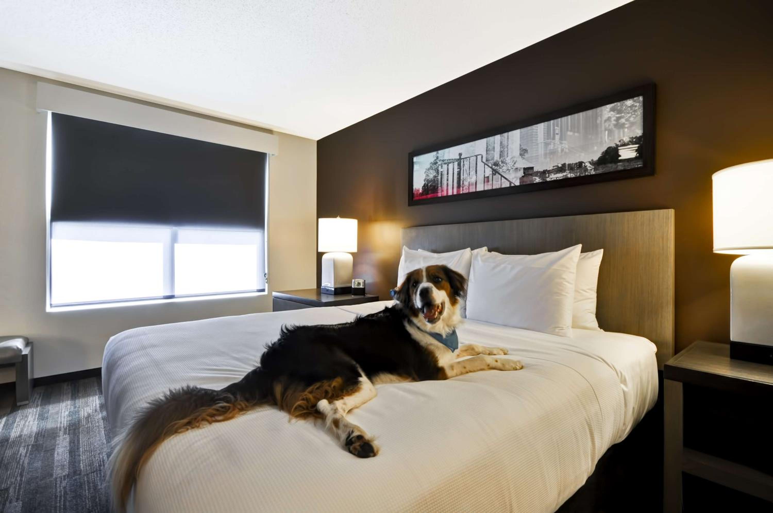Hyatt House Atlanta Cobb Galleria, Foto 4