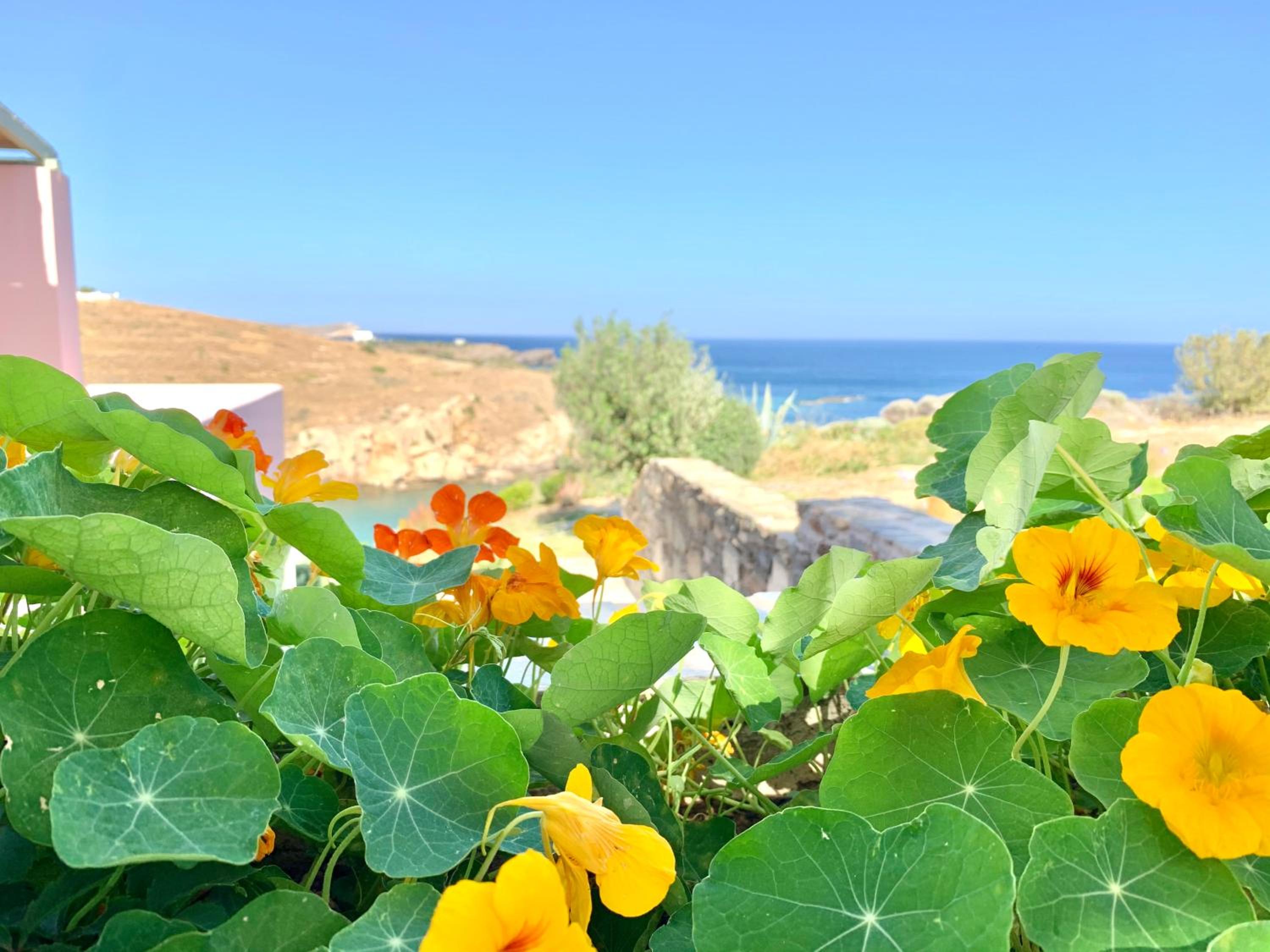 Vacation Home - Photo 9