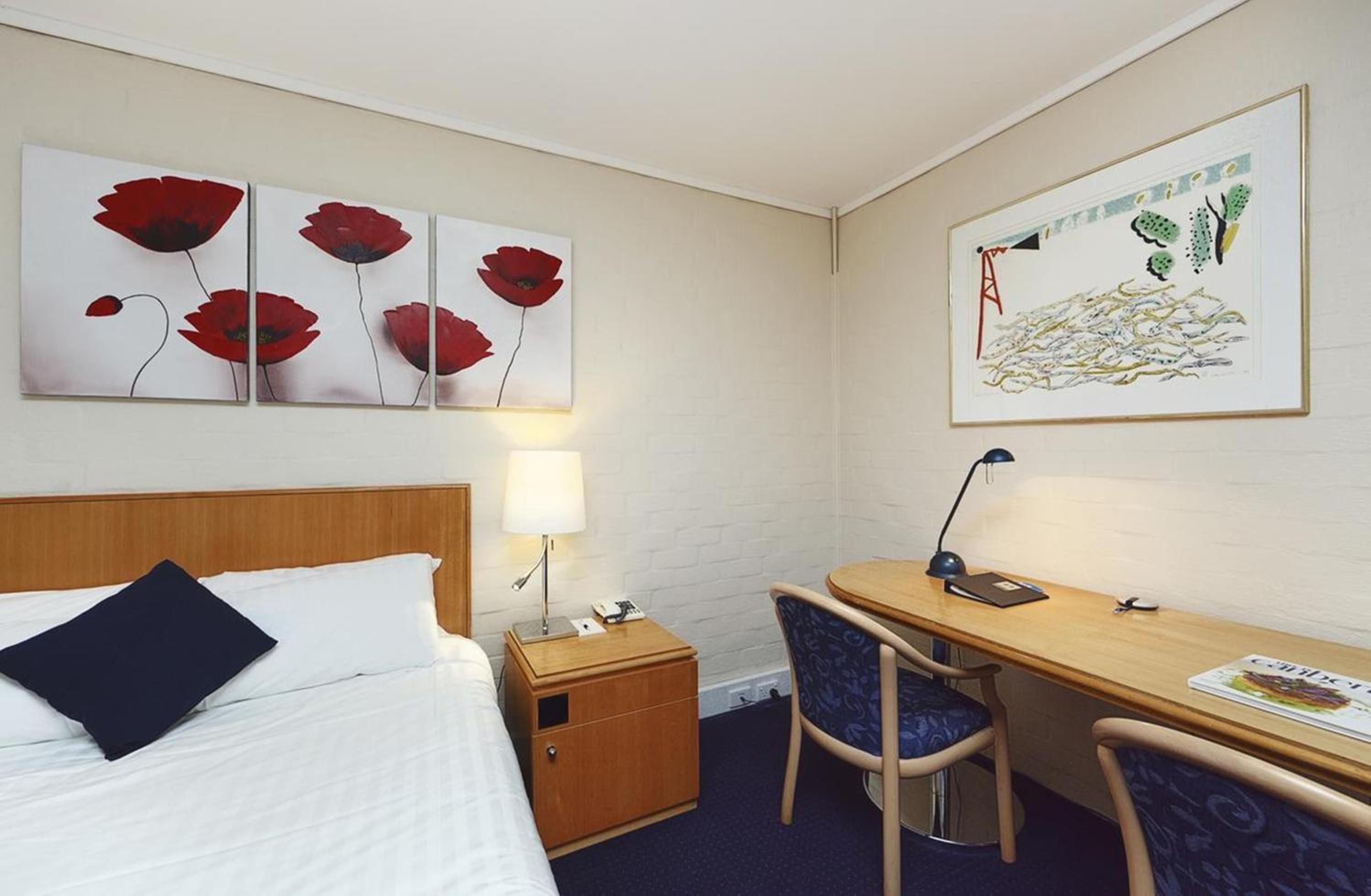 Standard Queen Room - Photo 14
