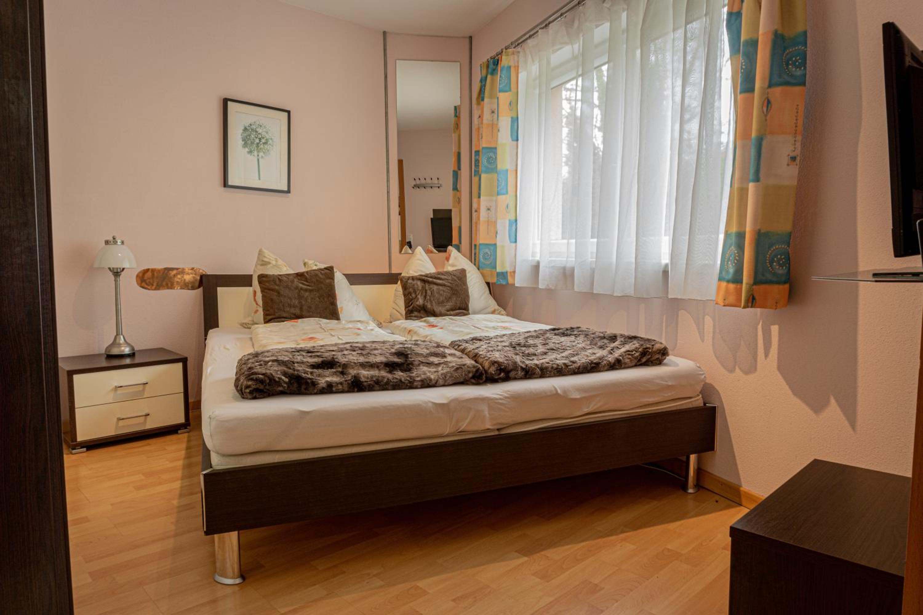 Apartment with Terrace photo 2