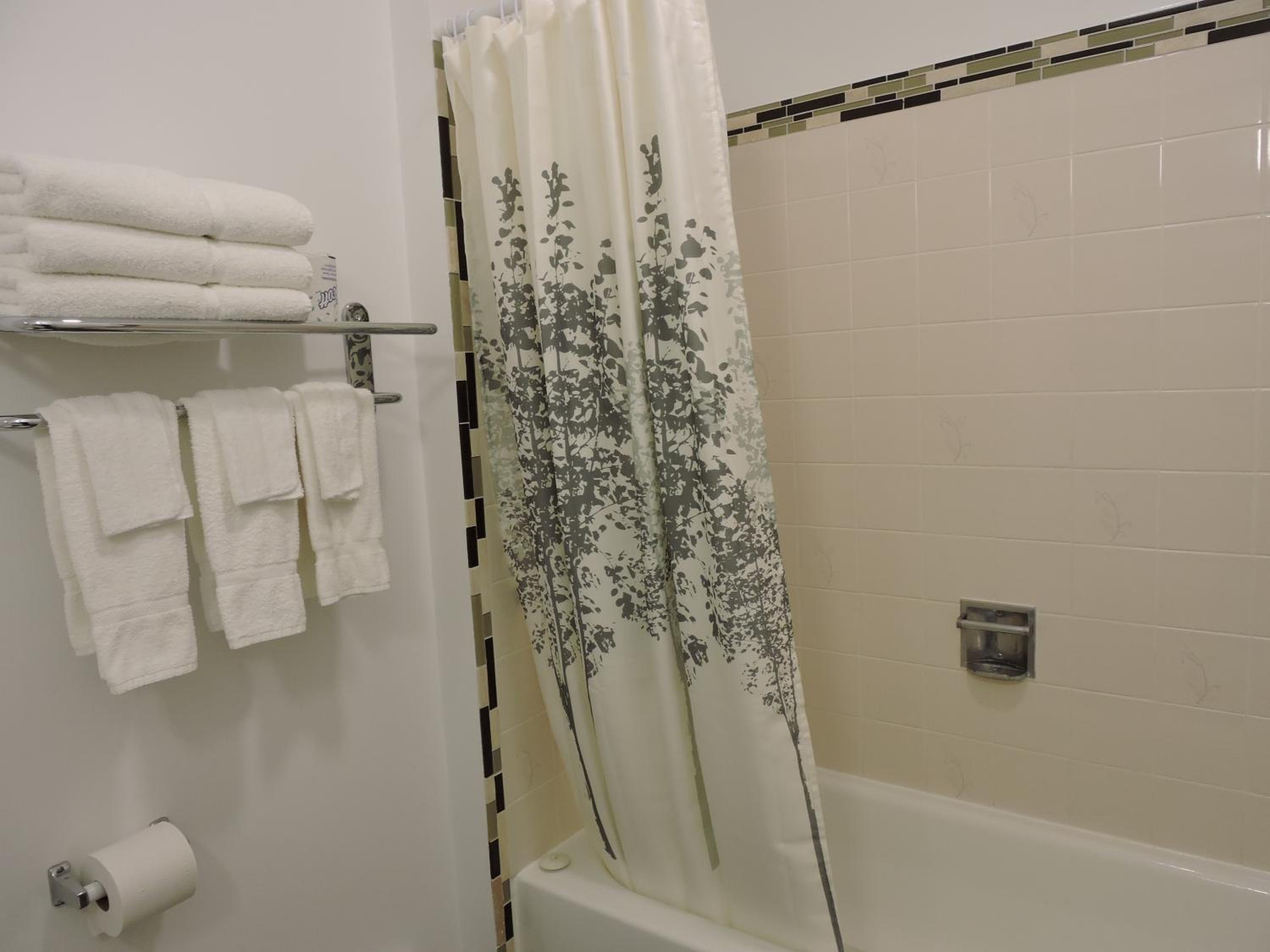 Deluxe Queen Suite photo 2