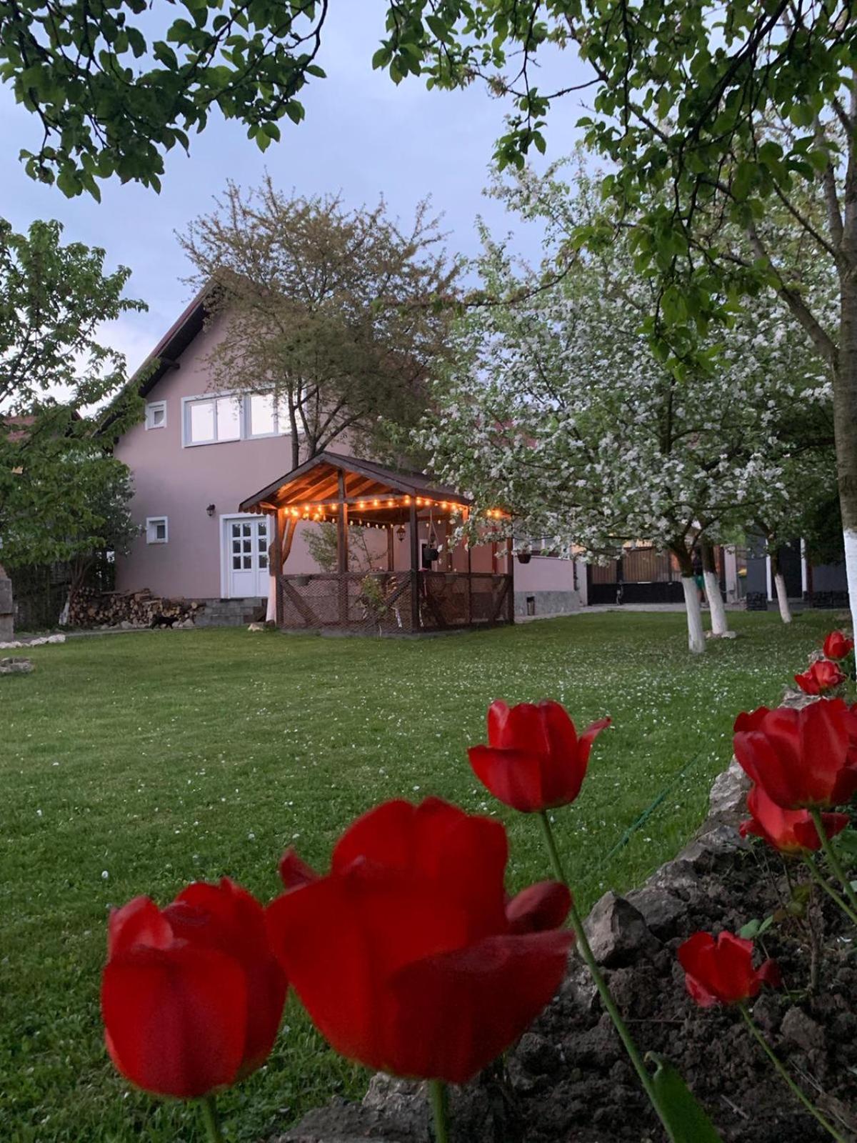 Vacation Home photo 2