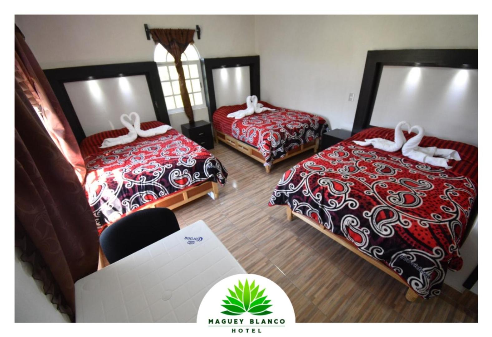 Triple Room photo 1